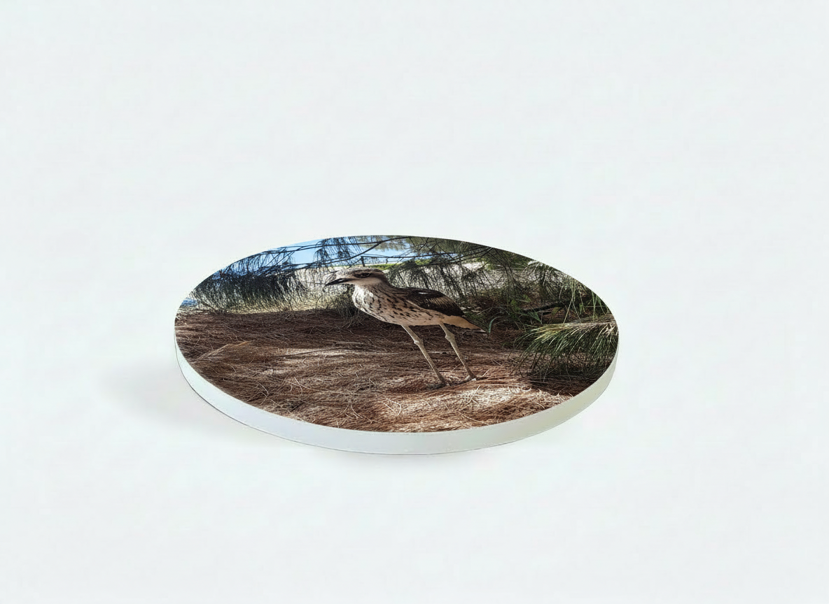 Coastal Sandstone Curlew Coaster