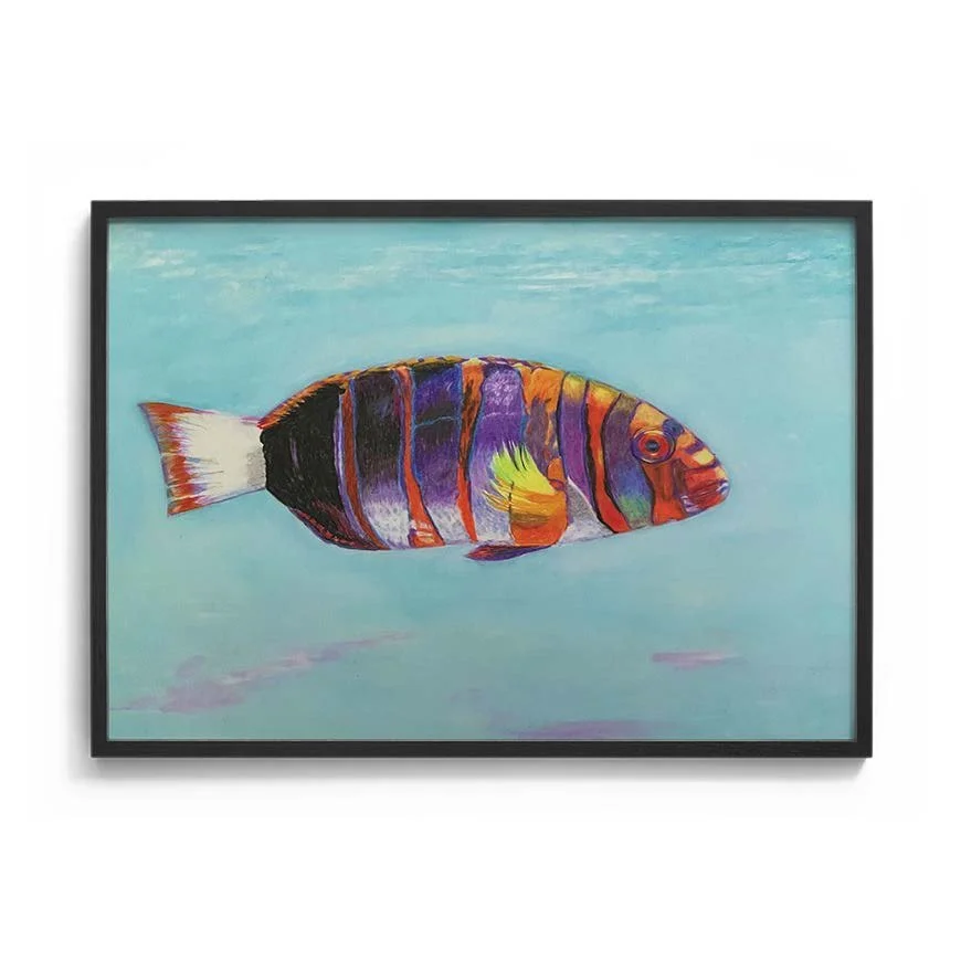 Vibrant Fish Pencil Drawing Art
