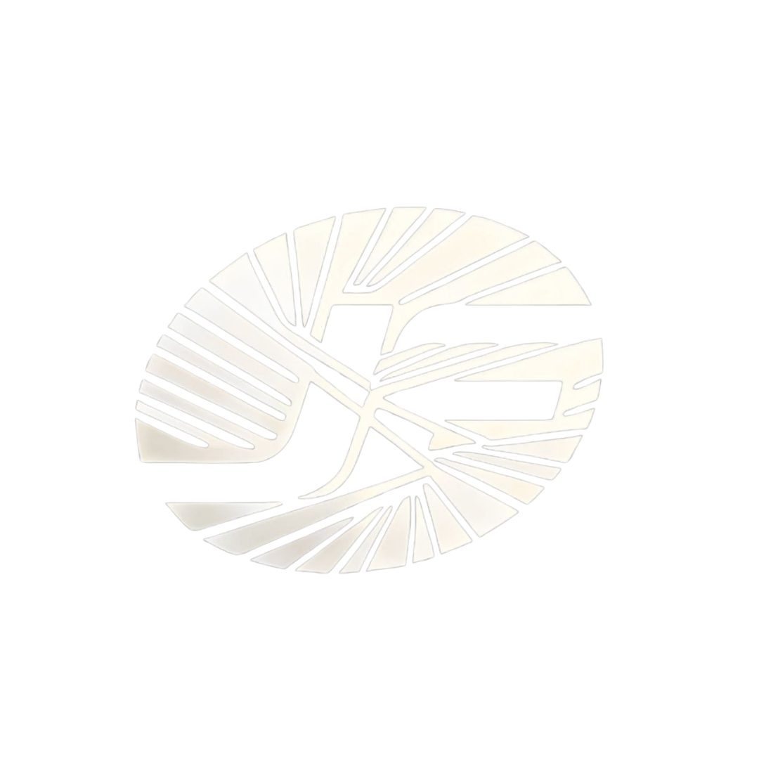 Junfa: Leading Functional Textile Innovation from Zhejiang to the World