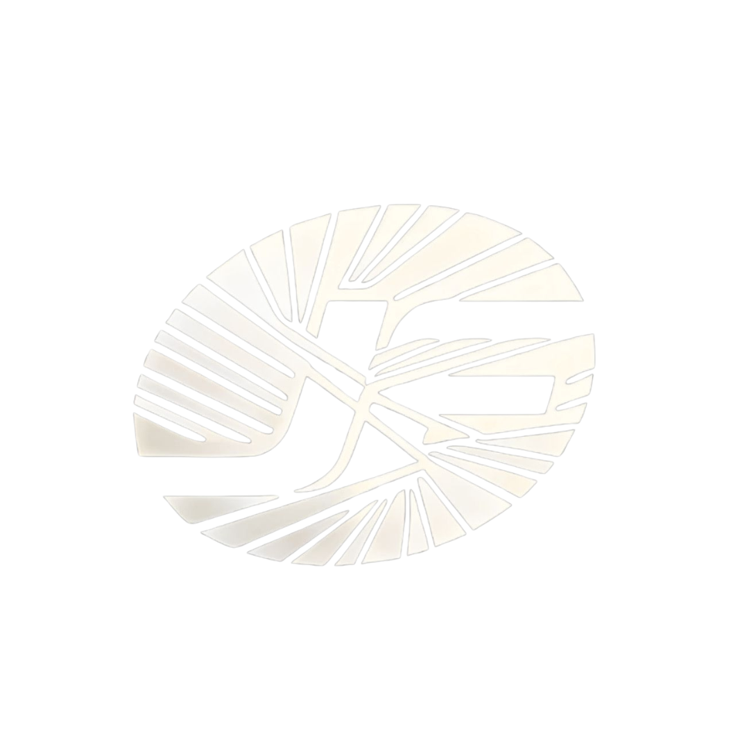 From Zhejiang to South America: How Junfa Jet Weaving Is Expanding Global Leadership in Functional Woven Textiles