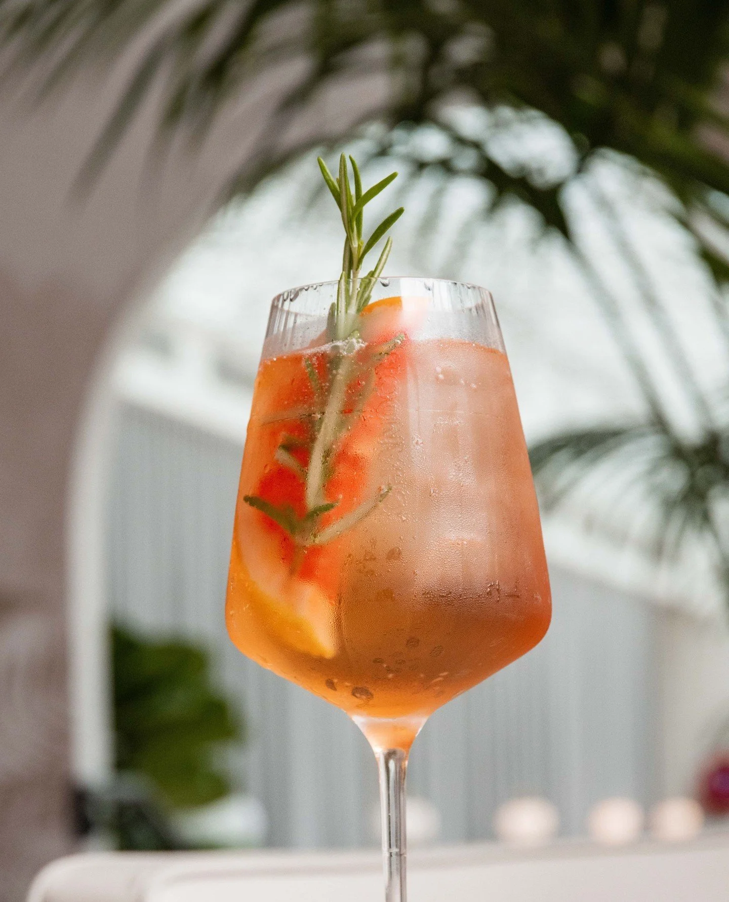 Golden hour in a glass. Our Chandon Spritz blends Chandon Garden Spritz, rosemary and citrus for something bright, herbaceous and made for slow afternoons by the coast.⁠
⁠
@chandonaus @intercontinentalcoogeebeach⁠
⁠
#ShuttersCoogee #CoogeeBeach #Chan