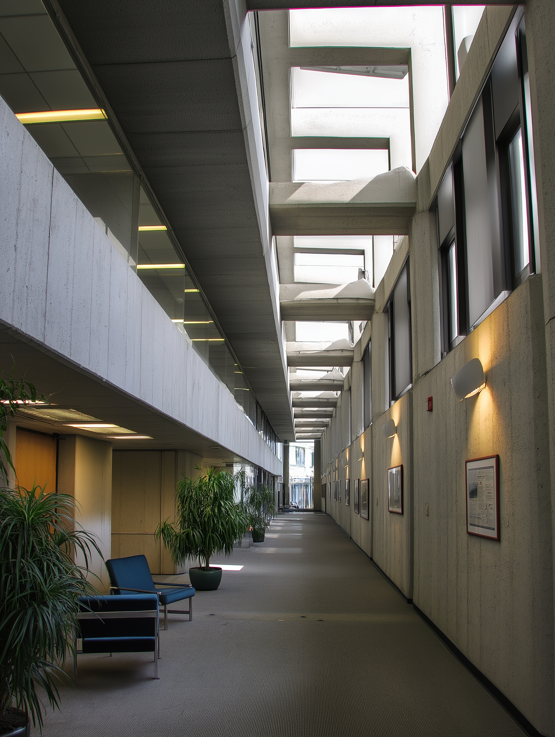 Spacious modern corridor with skylights, indoor plants, and framed art on walls.