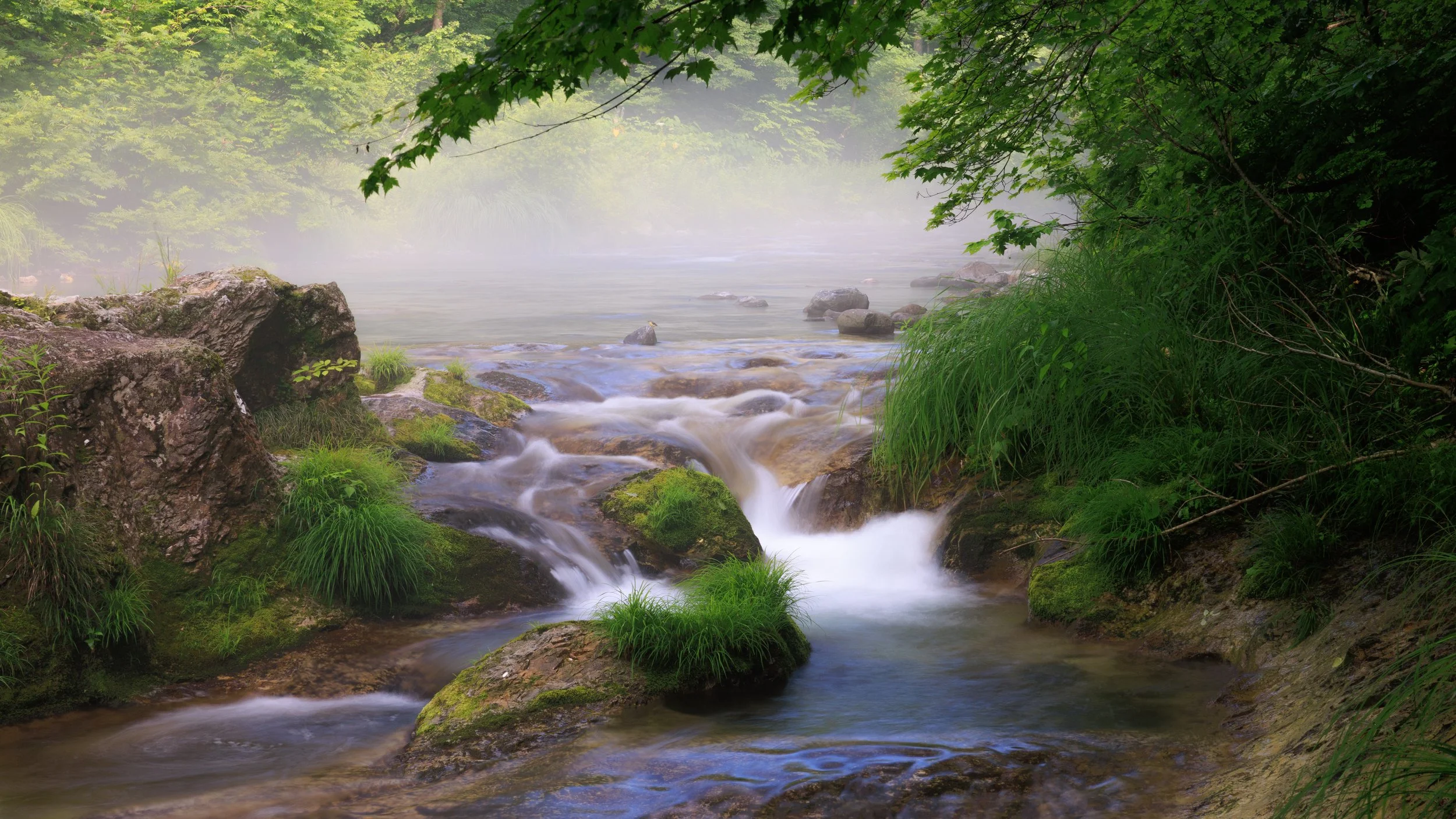 志賀高原・三段の滝で撮った一枚です。
苔むした岩の間を静かに流れる水と、朝靄が重なり、まるで幻想の世界に迷い込んだような雰囲気でした。
自然の美しさと静けさに心が癒されました。