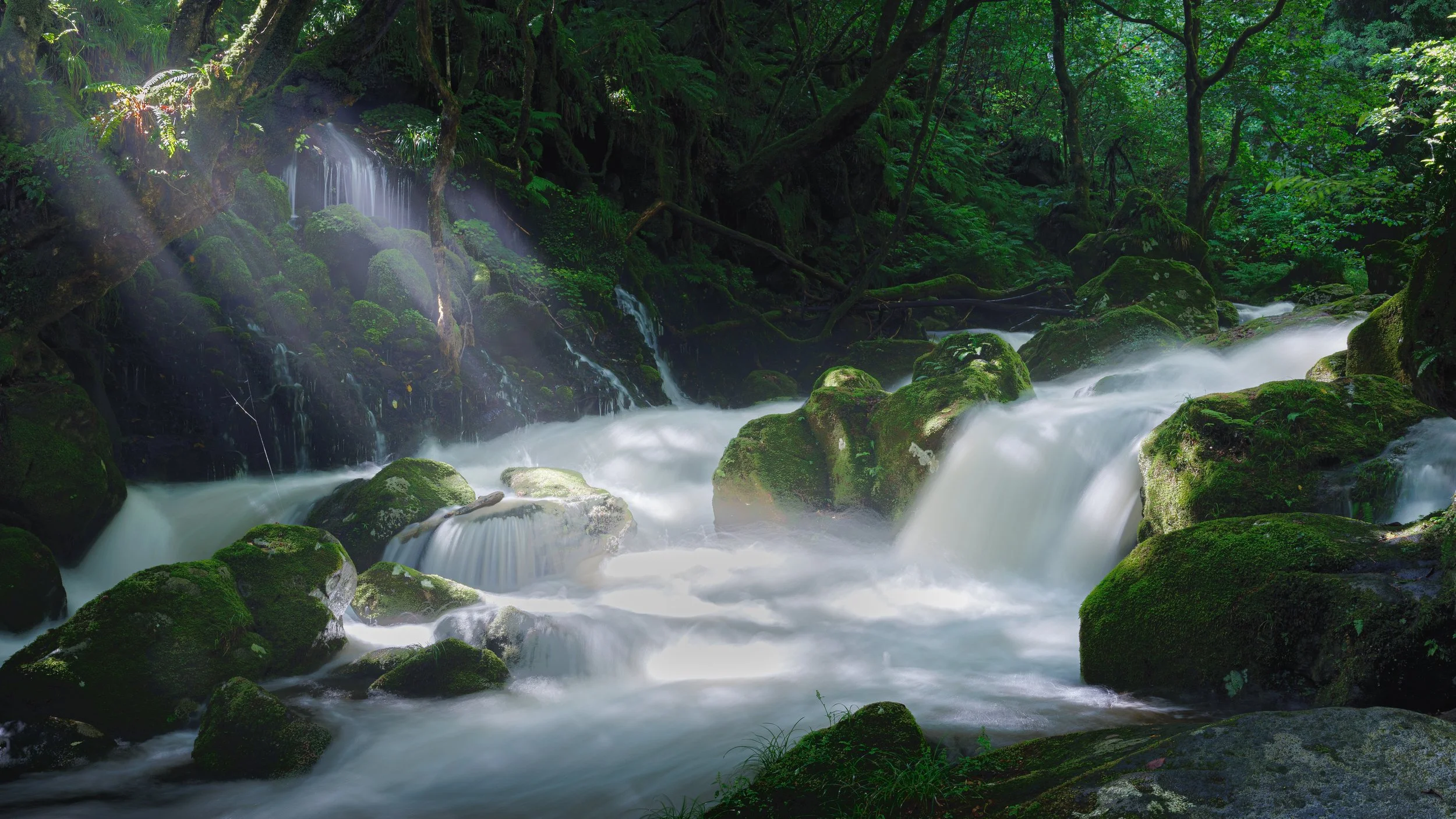 秋田県にかほ市の元滝伏流水で撮影した写真です。朝の光芒に照らされた流水です。