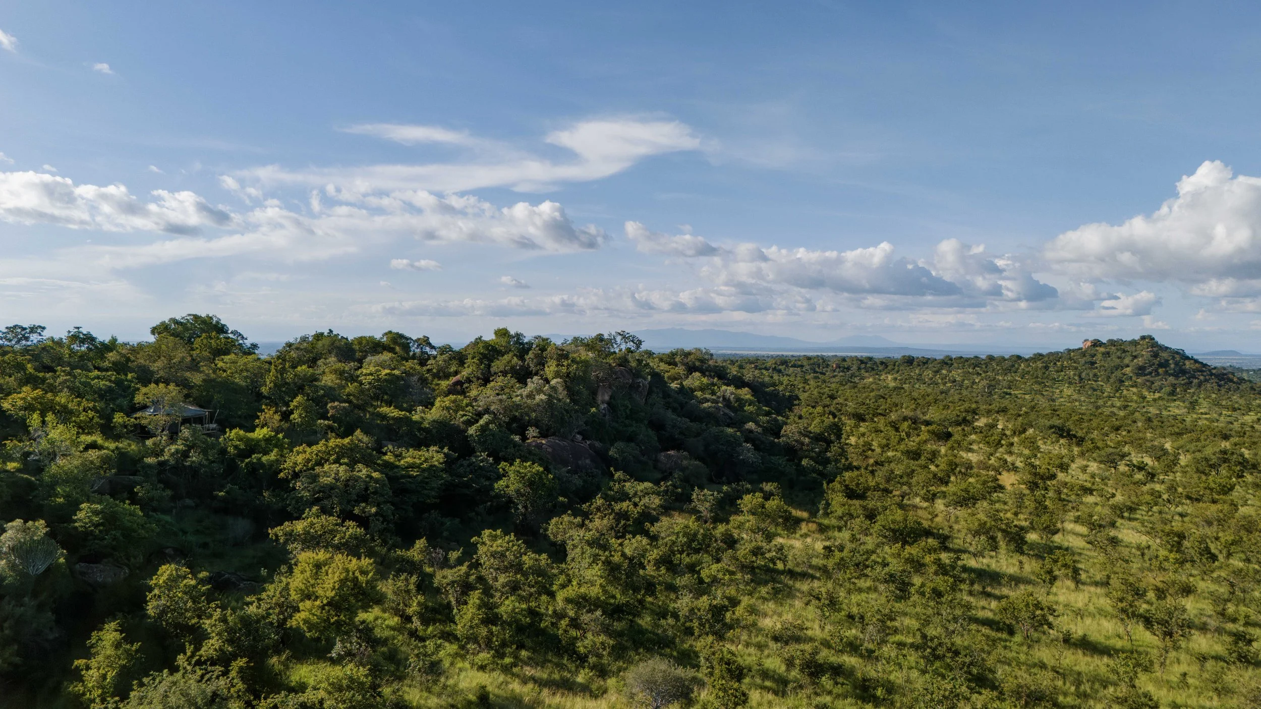 DJI_20260507164309_0508_D.jpg