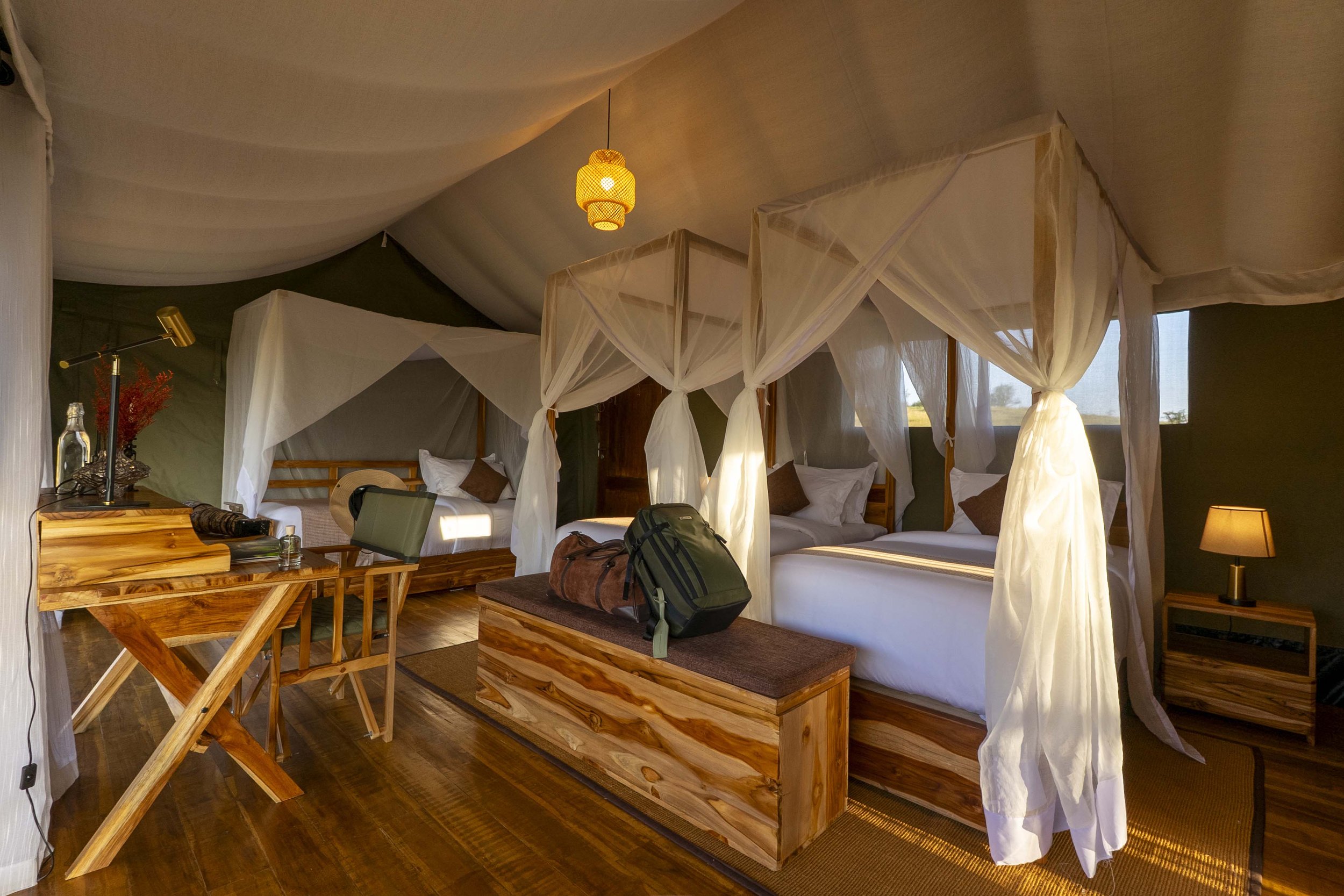 Zuri-room5.jpg