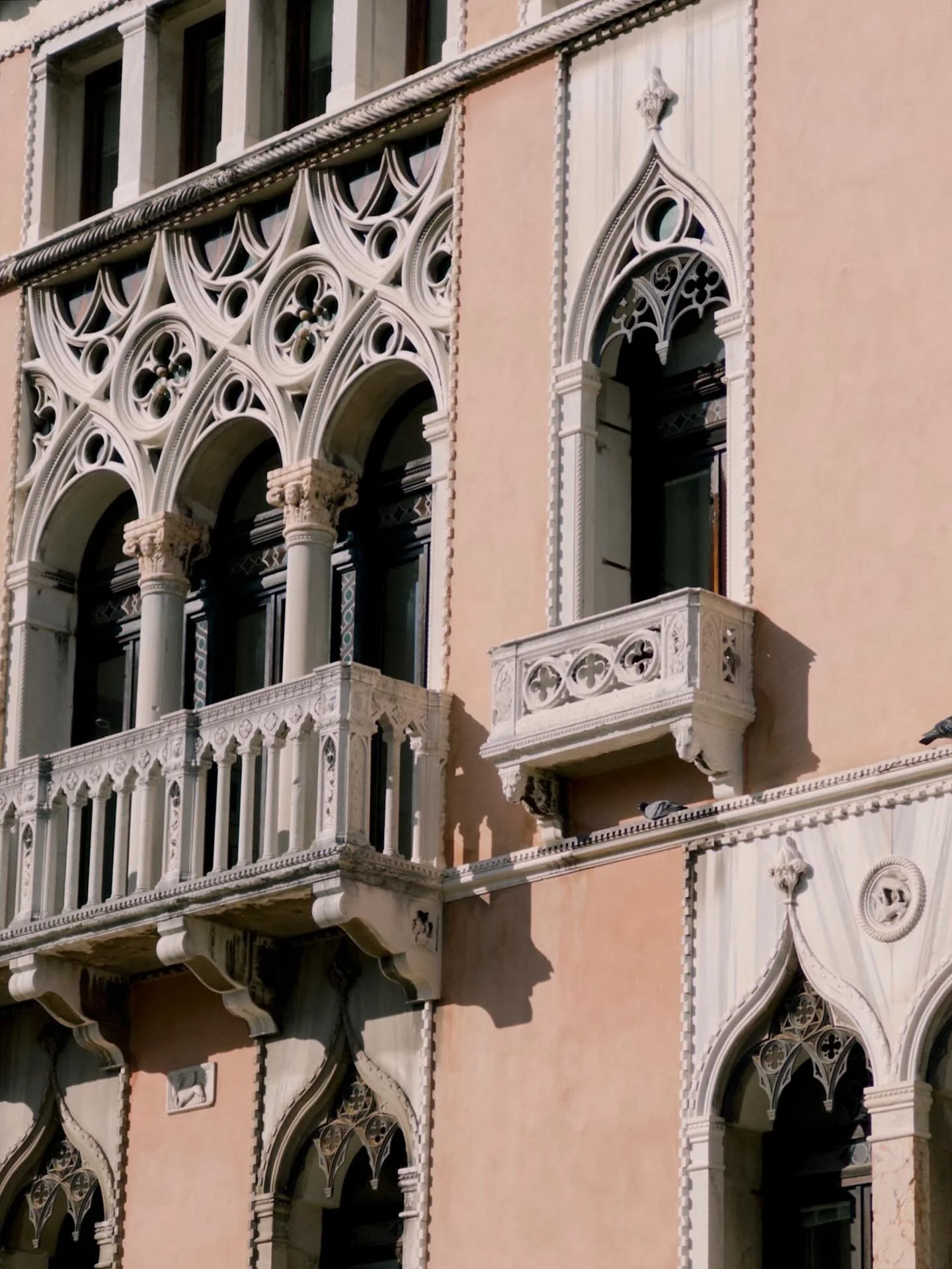 Making my delulu come trululu ✨

The past few days have truly felt like a dream come true. Showing my couple and my colleagues around a place that is so close to my heart and letting them experience Venice beyond the surface was incredibly special. I