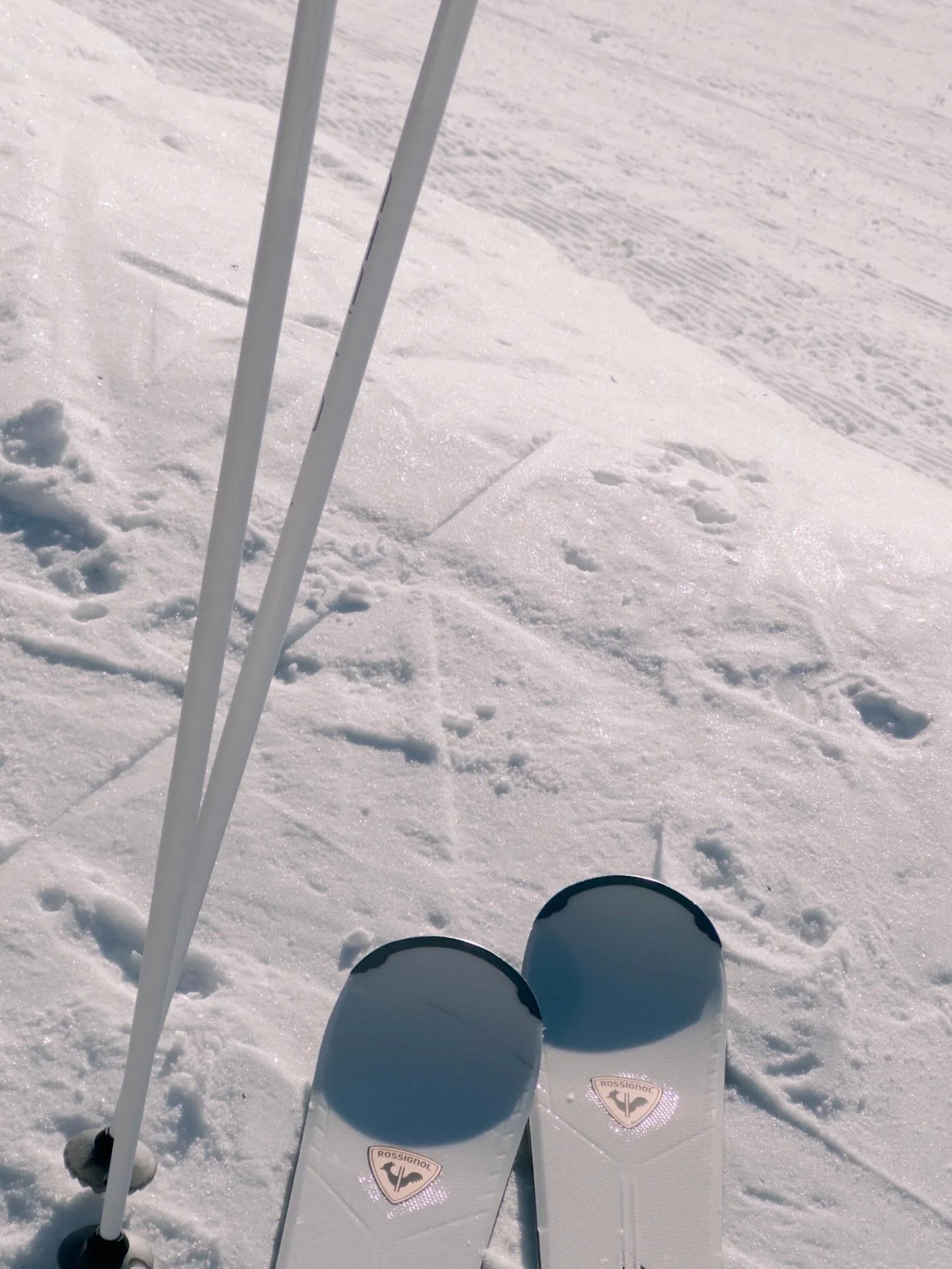 * Working hours in January &amp; February might vary *
Desk from 05:15-08:00 and again from 16:30 but also answering messages while in the lift. Selbst &amp; st&auml;ndig they said but nobody clarified where and somehow l&rsquo;m happiest on a mounta