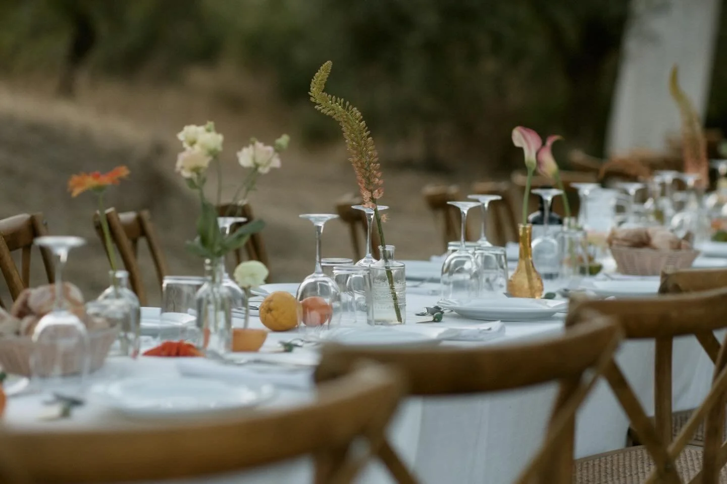 These cold February days have me dreaming of warm southern Spanish nights. Soft air, late dinners, and that unmistakable summer glow. Counting the days until we create a little magic in Sotogrande this June.

_________________________________________