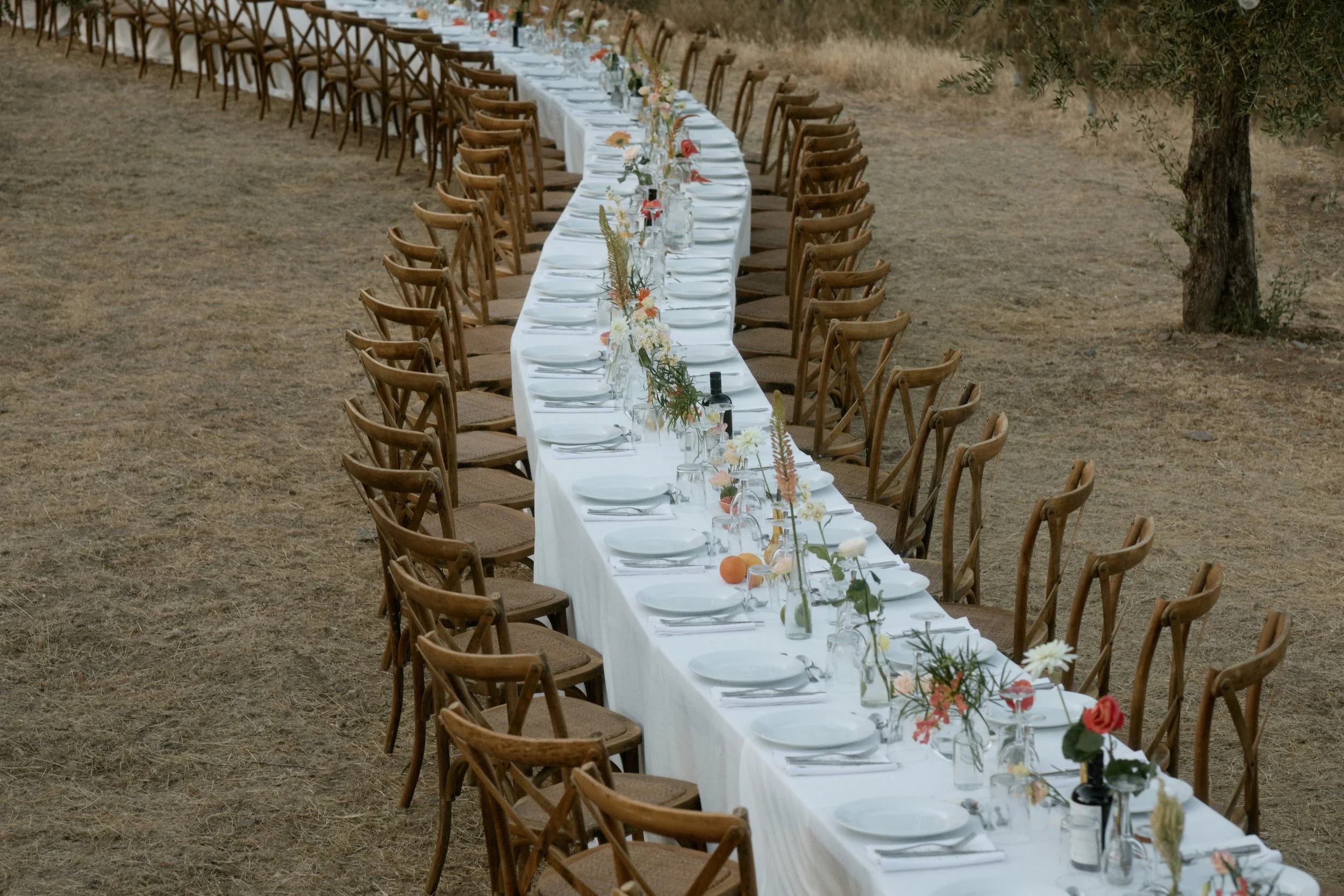 Lang dinner Tisch im Freien mit weißen Tuch, Blumen, Gläsern und Tellern, umgeben von Holzstühlen, in einer natürlichen, trockenen Umgebung.