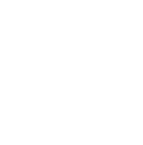 logo-aoustock-blanc-300.png