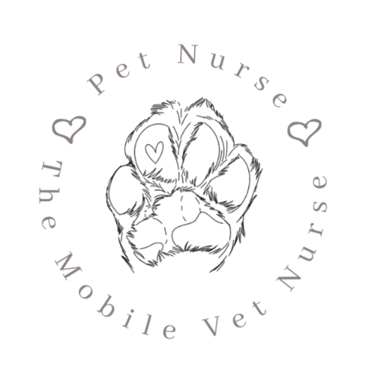 Pet Nurse