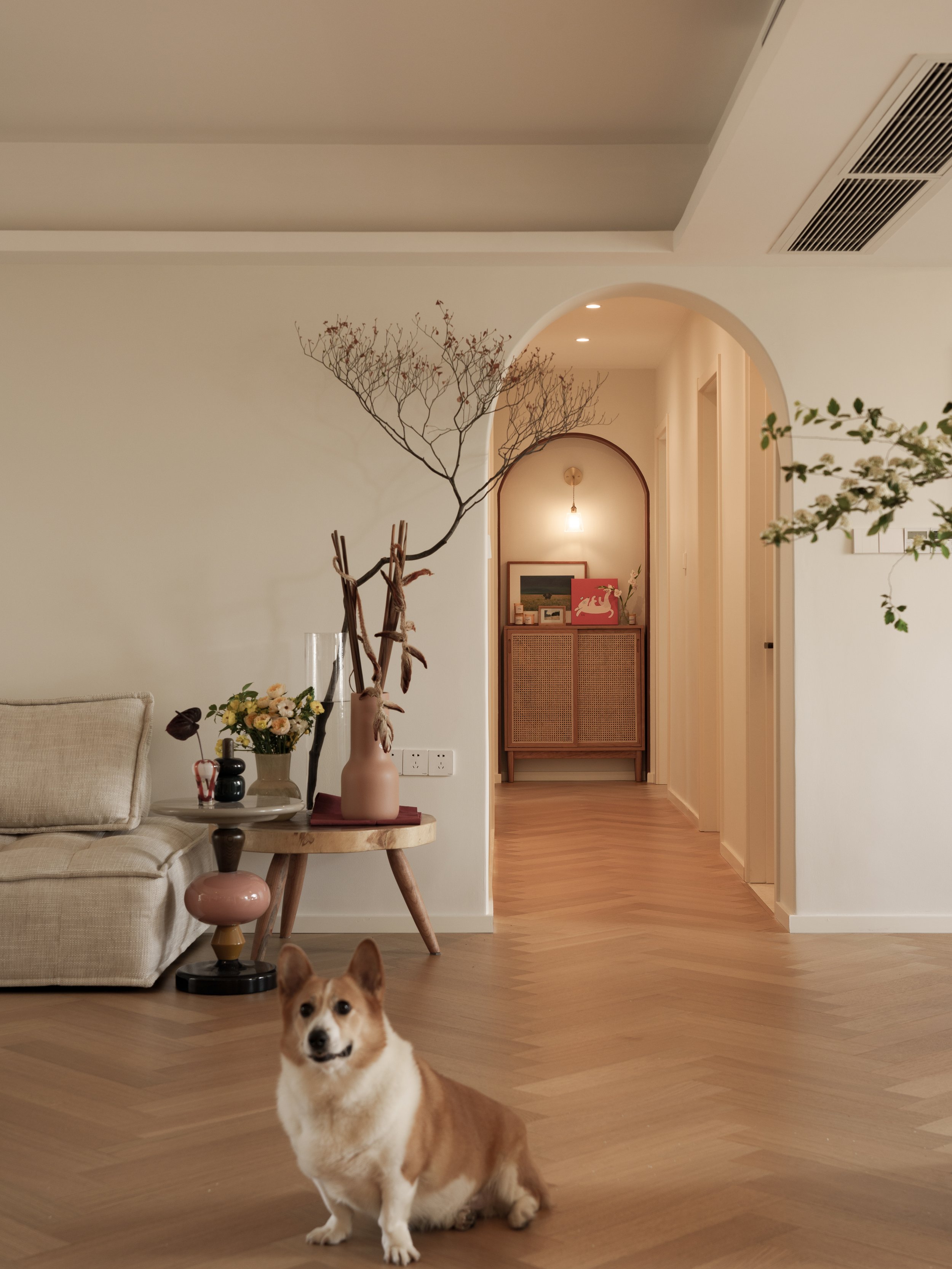 Project |Home for rescuing stray cats and dogs