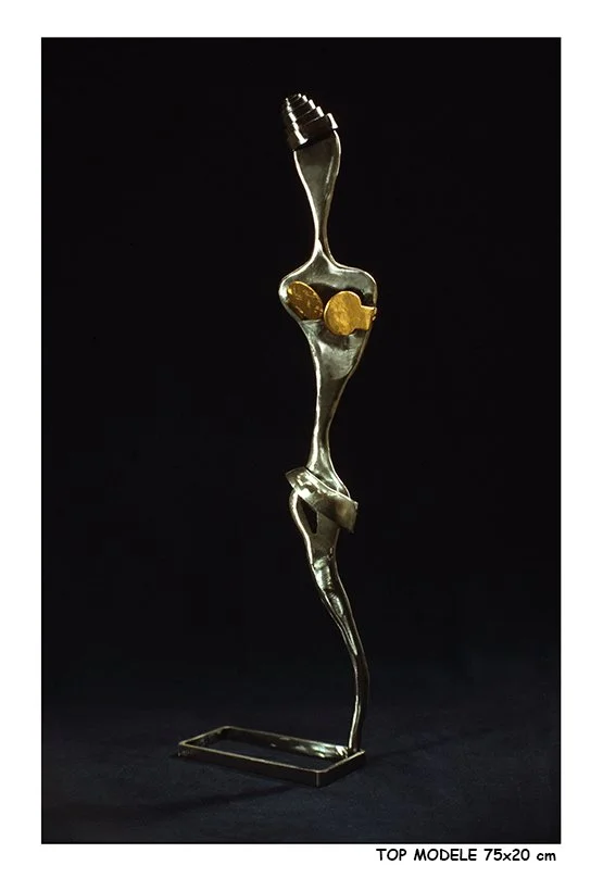 HK Top modèle CD.jpg