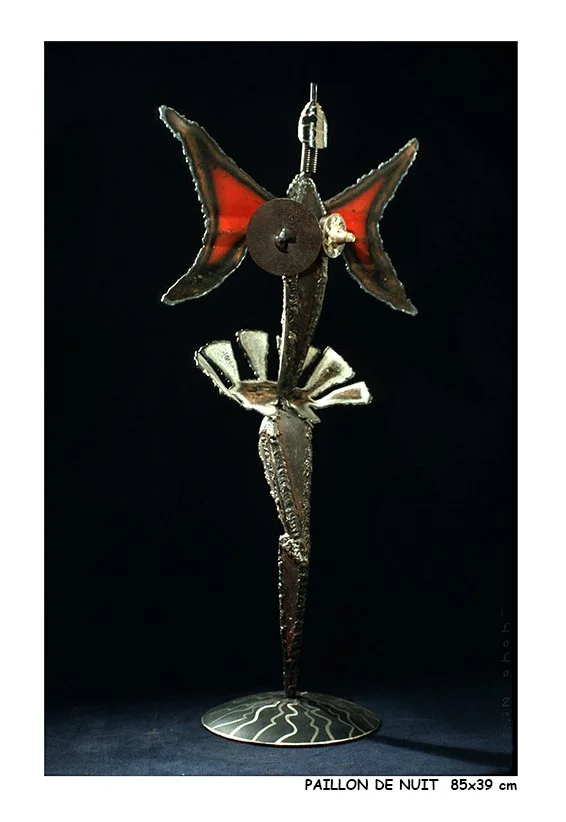 PAPILLON DE NUIT.jpg