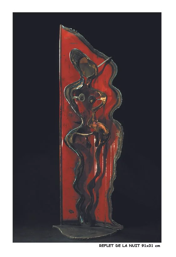 REFLET DE LA NUIT.jpg