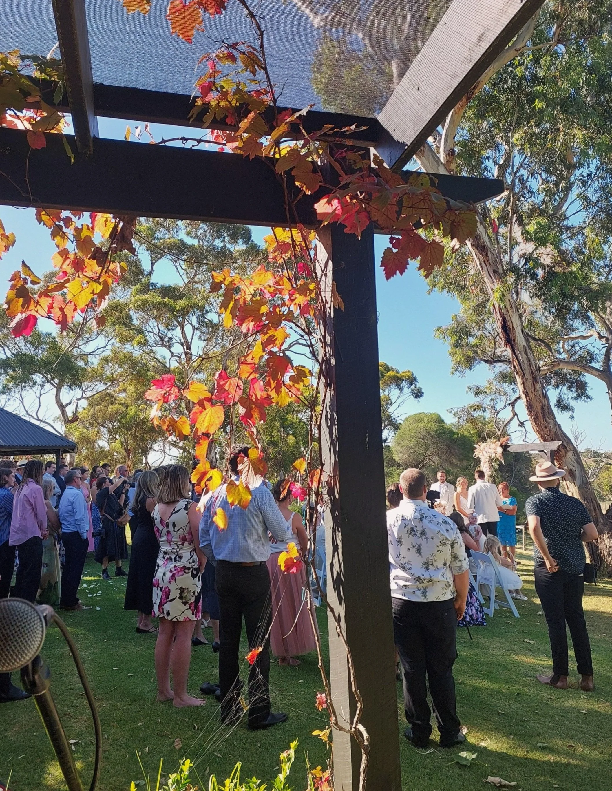 Jasper C Music playing a wedding in a green garden.