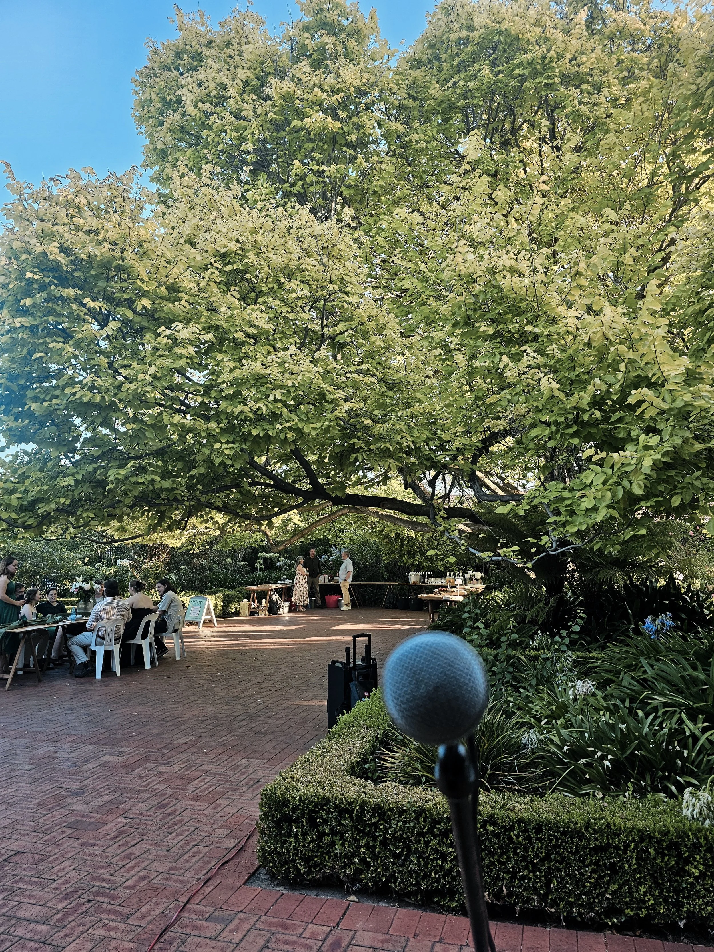 Jasper C Music wedding, people enjoying the day with Autumn leaves in front
