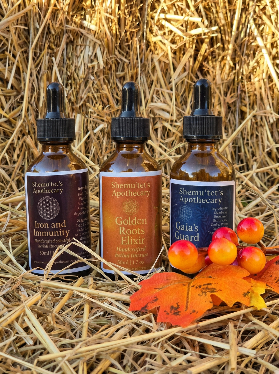 envato-labs-image-edit - 2025-11-21T154658.031.png