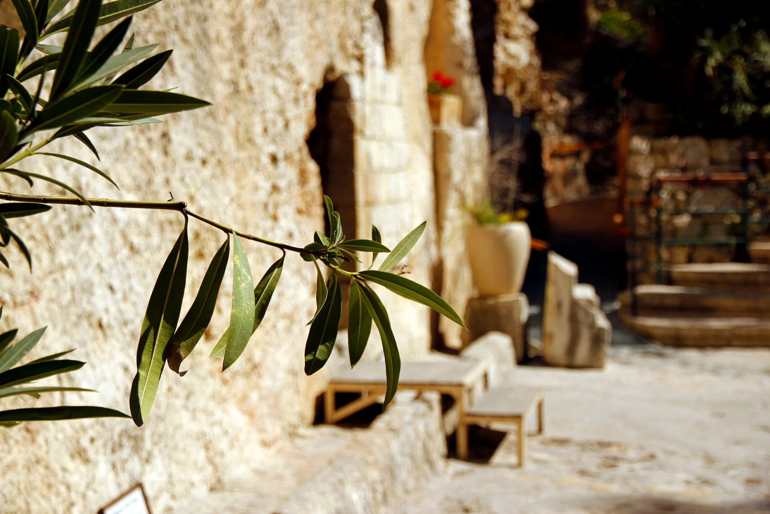 what to expect -jerusalem.jpg