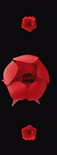 A 3D model of a red rose with a skull in the middle, big balloons, midsummer flowers, pumpkins and dried twigs