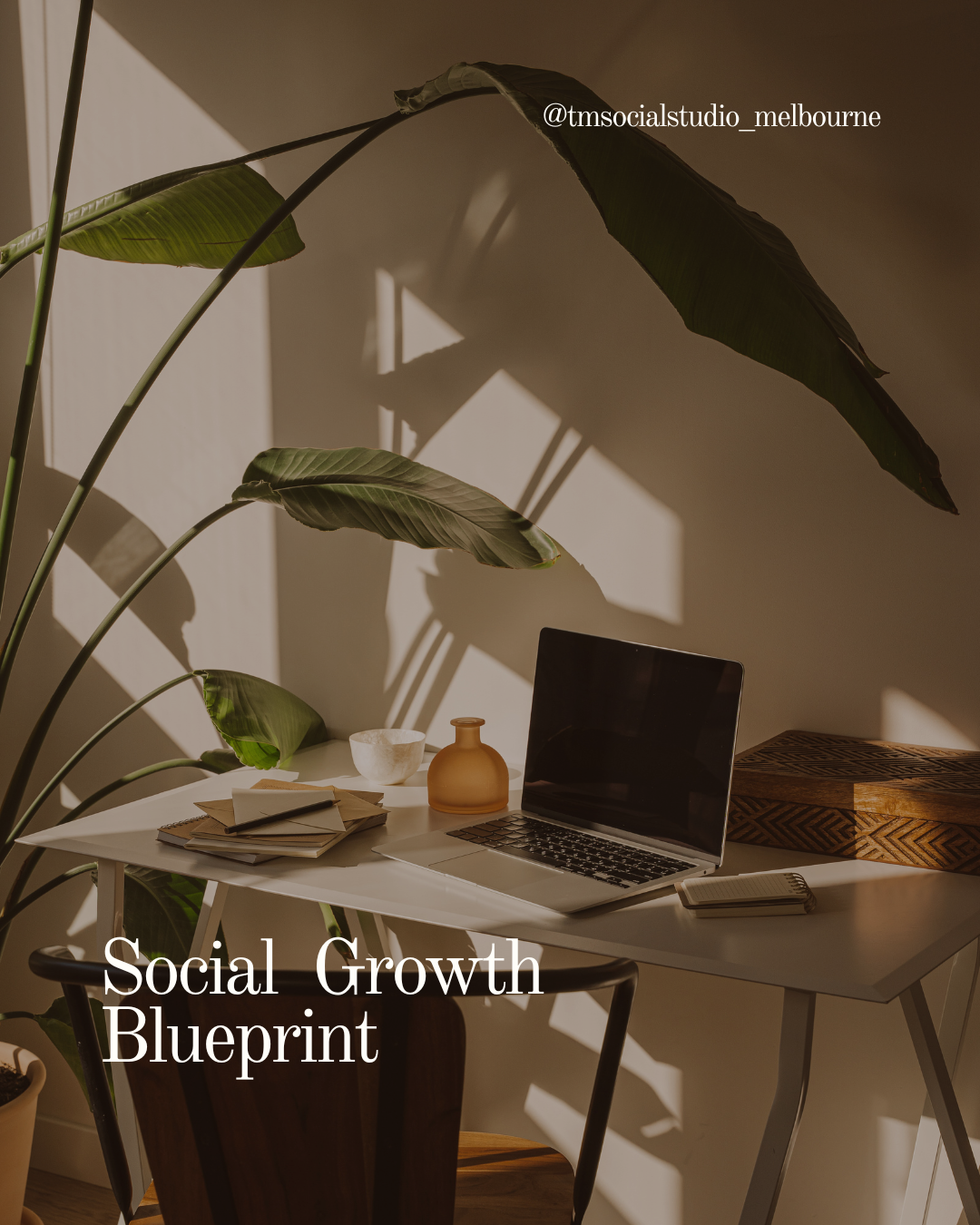 Social Growth Blueprint