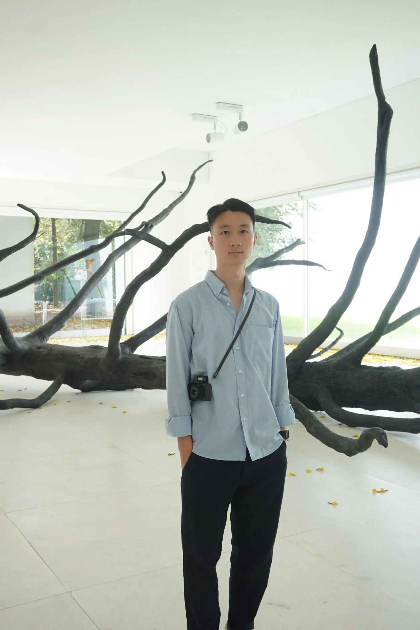 A young man standing indoors in front of a large, black, tree-like sculpture with twisted branches. He is wearing a light blue button-up shirt, black pants, and has a camera hanging around his neck. Behind him, there are large windows with a view of trees outside and some fallen leaves on the white floor.