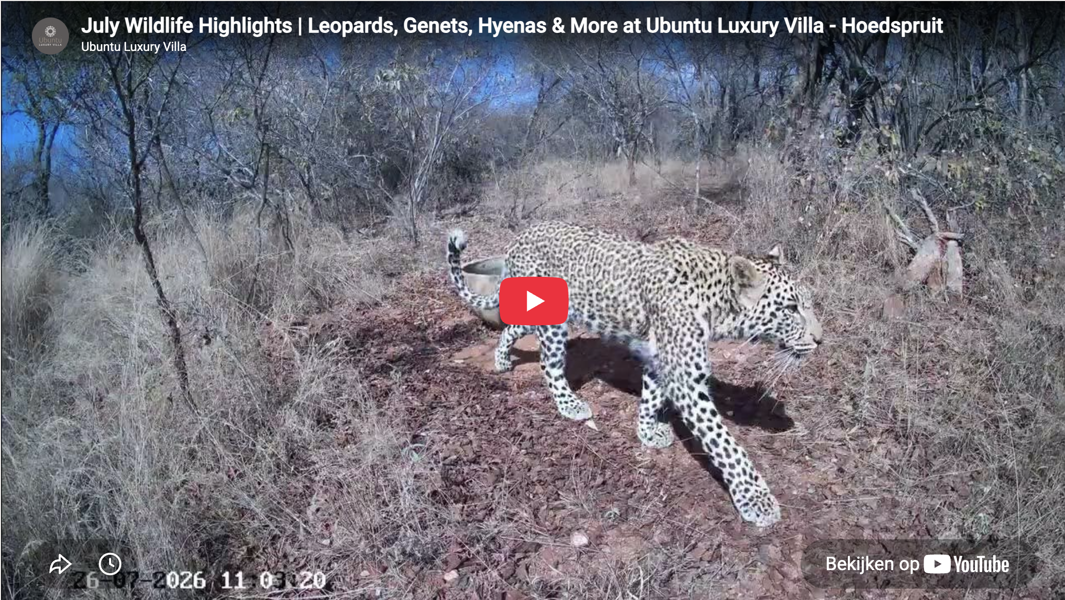 Watch our July Wildlife Trail Camera Highlights on YouTube