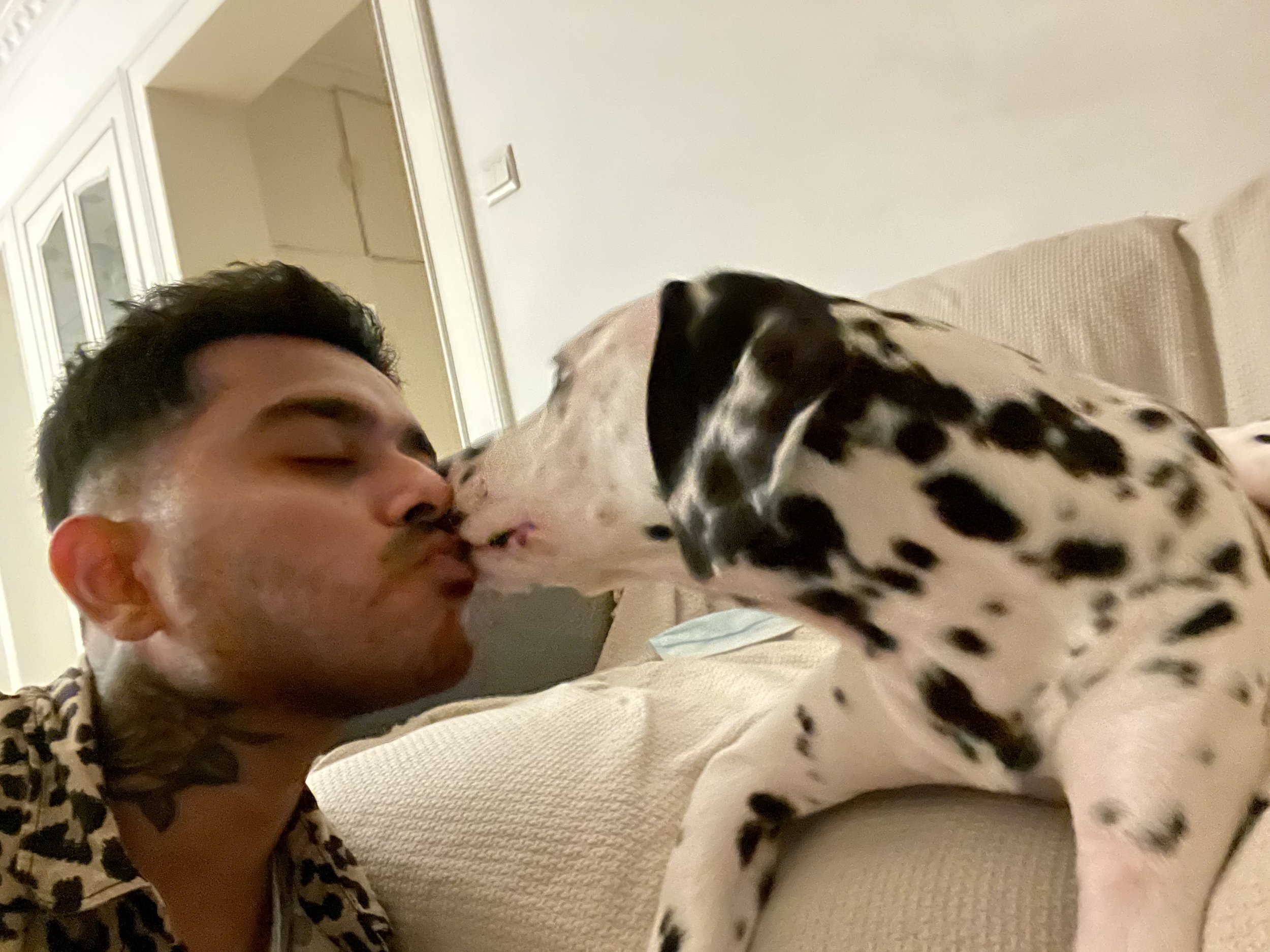 A man with tattoos on his neck and a leopard print shirt is lying on a beige couch, kissing a Dalmatian dog.