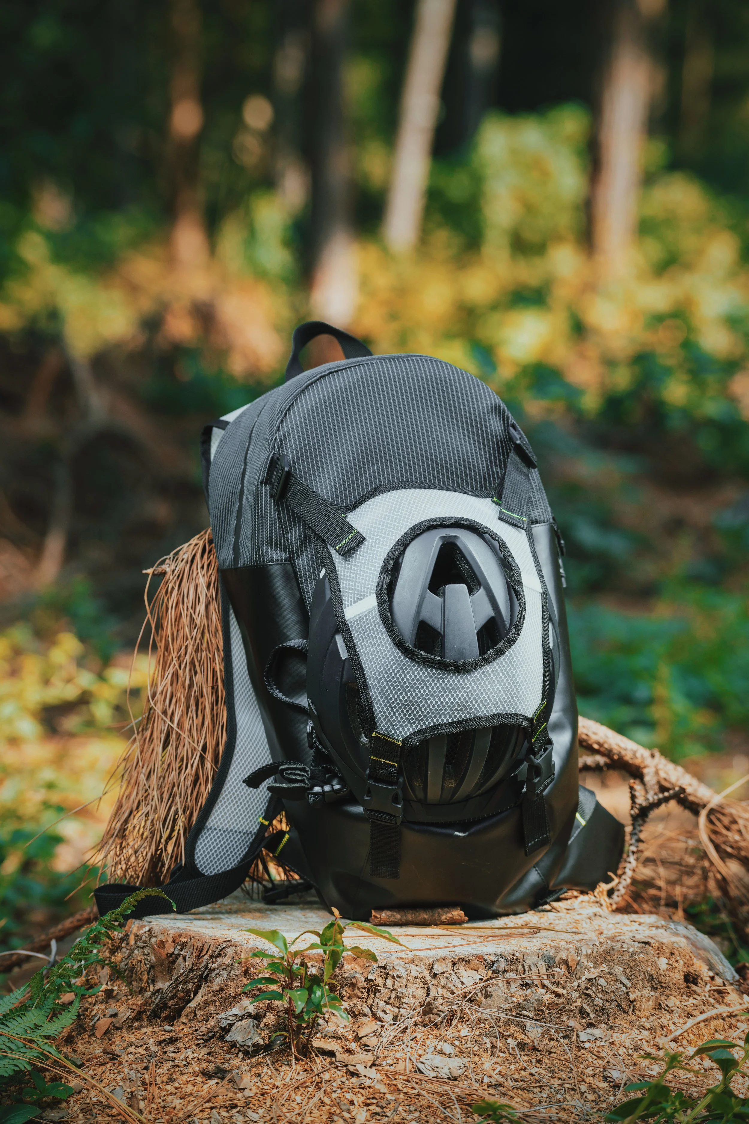 A gray and black backpack resting on a tree stump in a forest with green foliage and tall trees.
