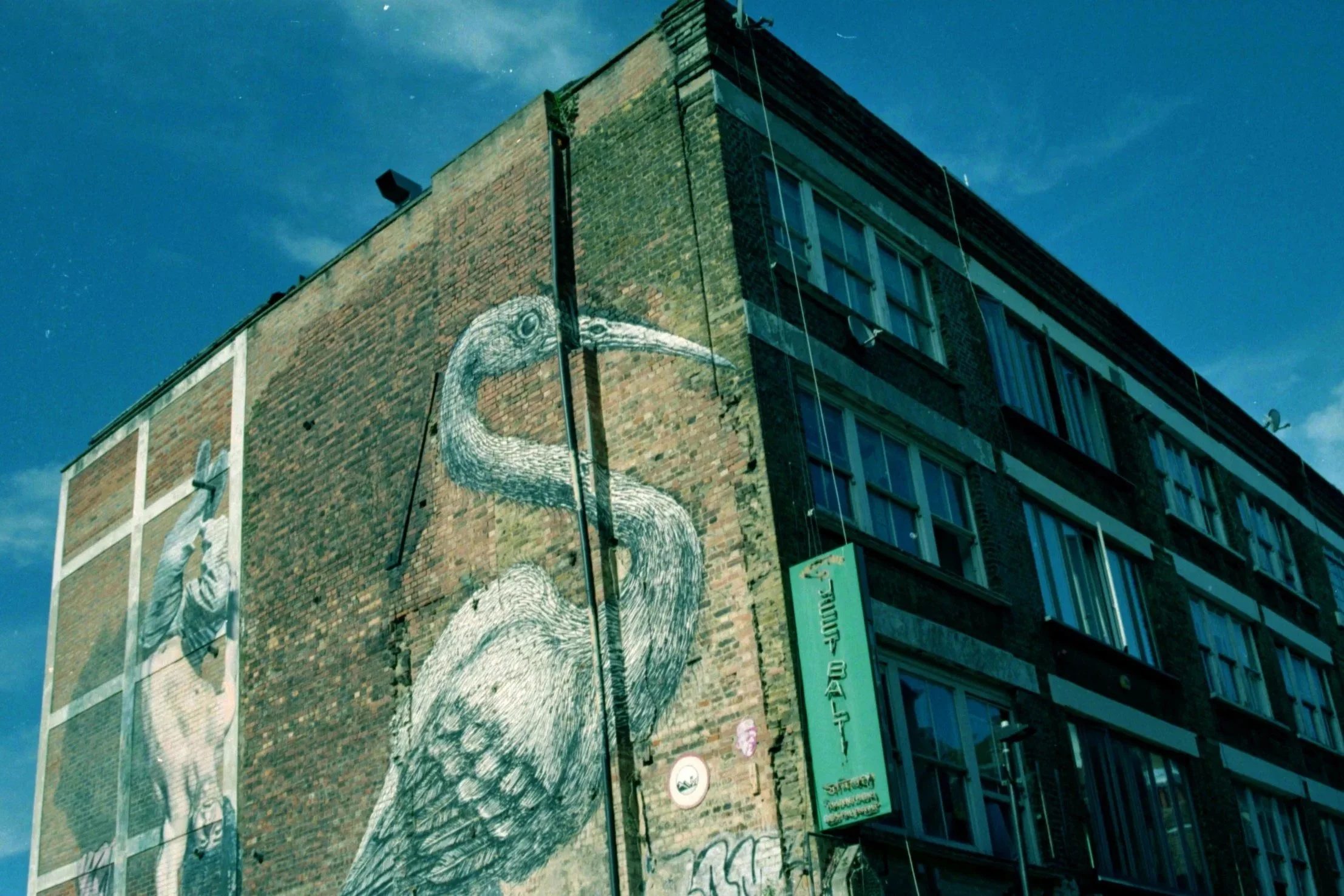 Street art of a large bird painted on the side of a brick building, with a background of a blue sky with clouds.