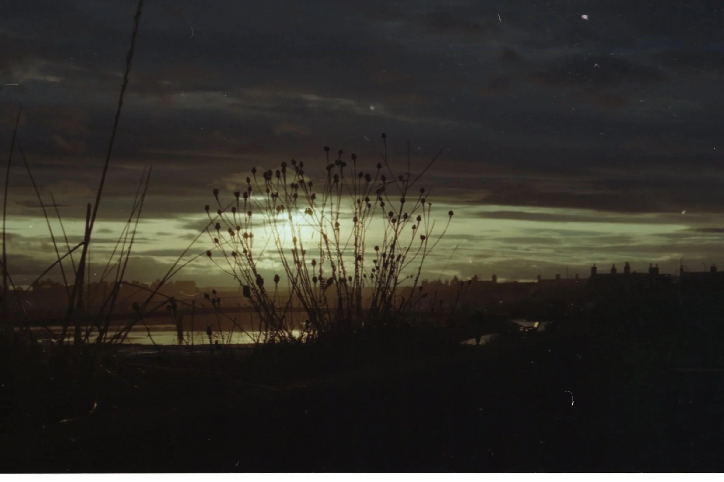 Nighttime scene with dark sky, some stars visible, and a bright moon partially obscured by clouds. Silhouetted dried plants in the foreground with buildings and rooftops in the background.