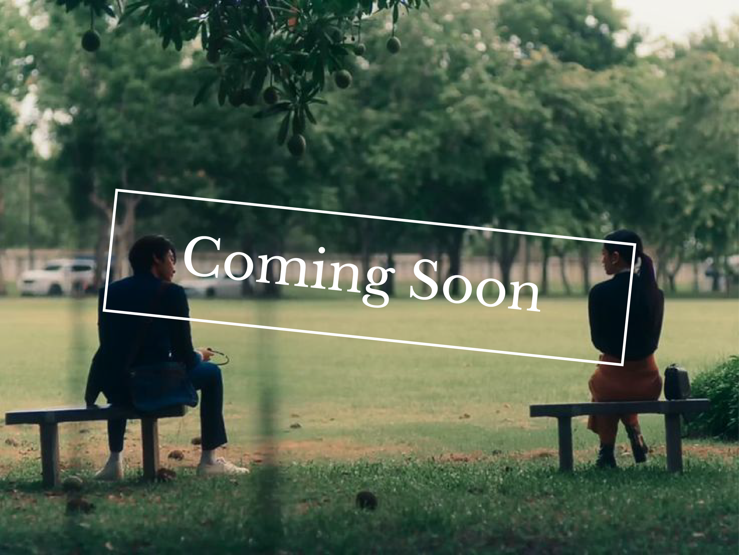 Maybe Story 1.6