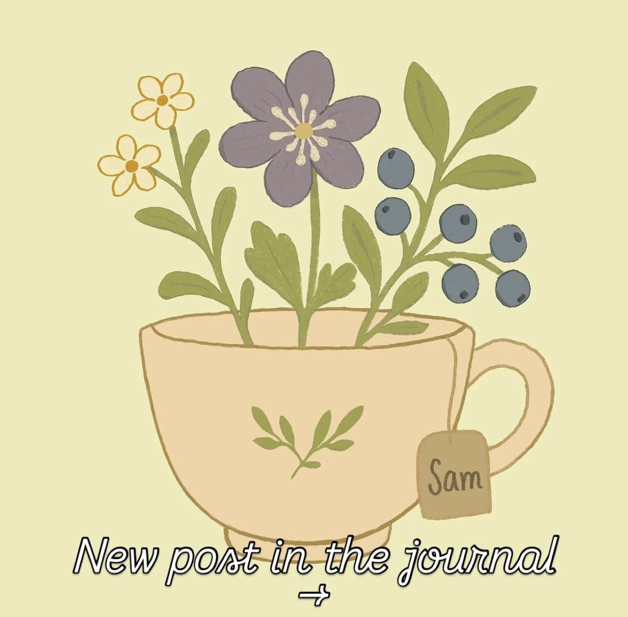 Cottagecore, but make it yours 🌿
This post is for anyone who loves the idea of slow living but doesn’t always feel like they’re doing it “right.”
It’s a reminder that gentleness isn’t something you have to prove.