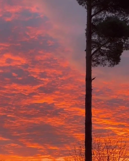burning sky