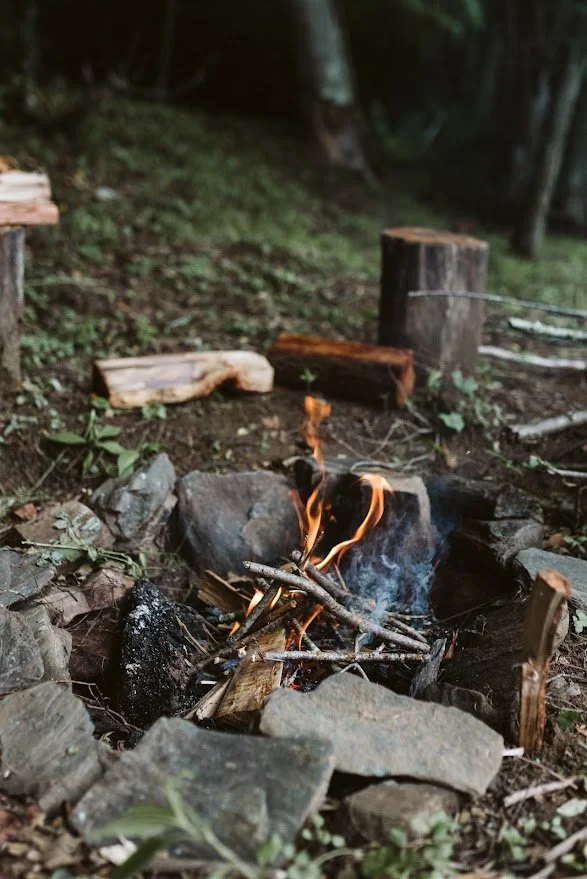 A small campfire surrounded by rocks in a wooded area with logs nearby.
