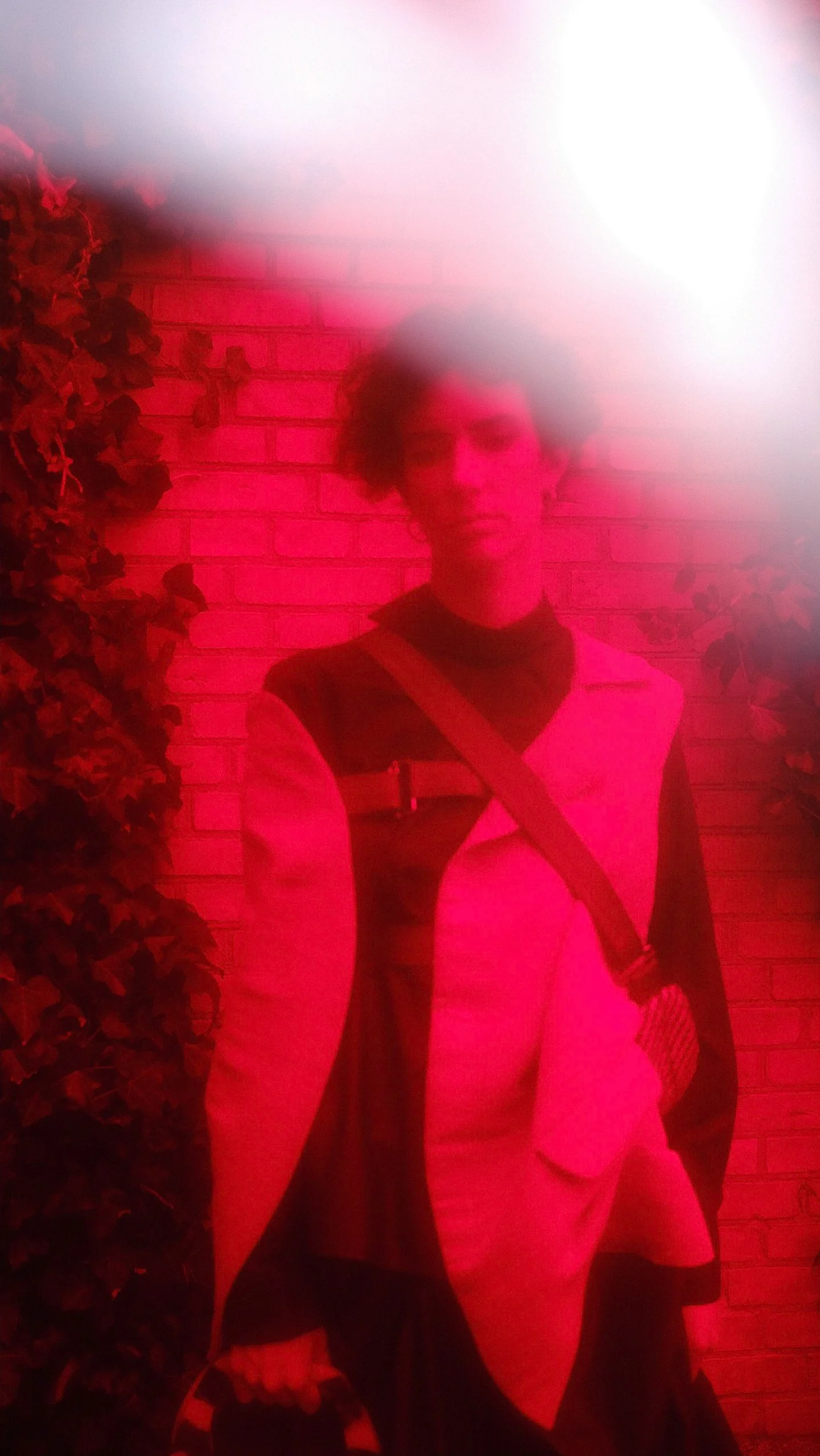 pugholm-4237 print.jpg