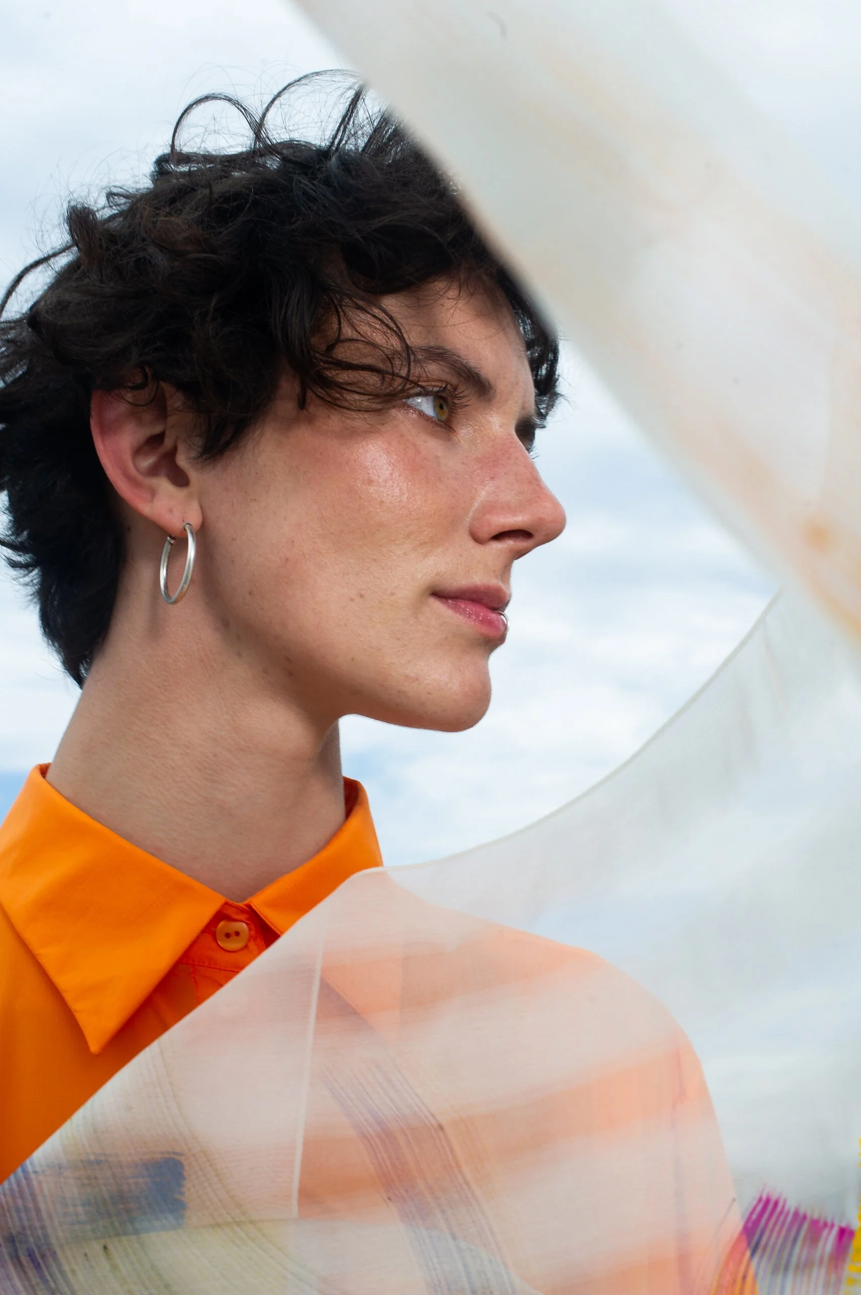 53 pugholm-2734 print.jpg