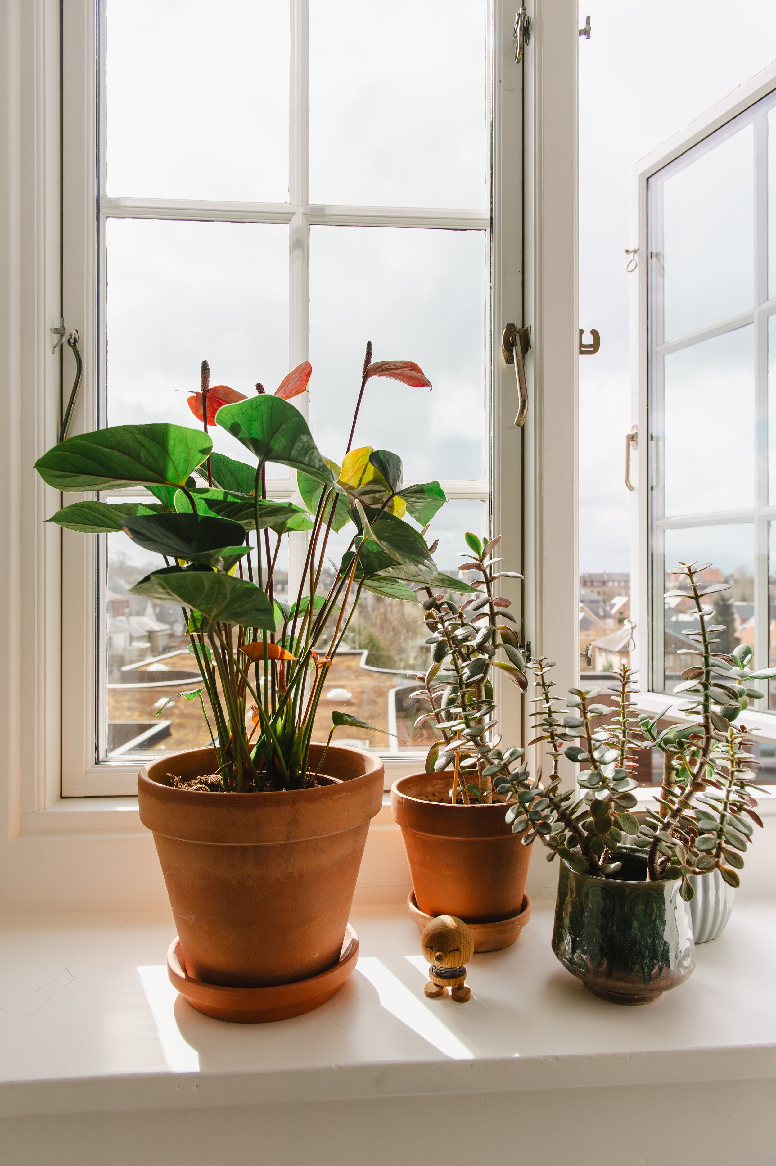 Vibeke Klærke-5376 print.jpg