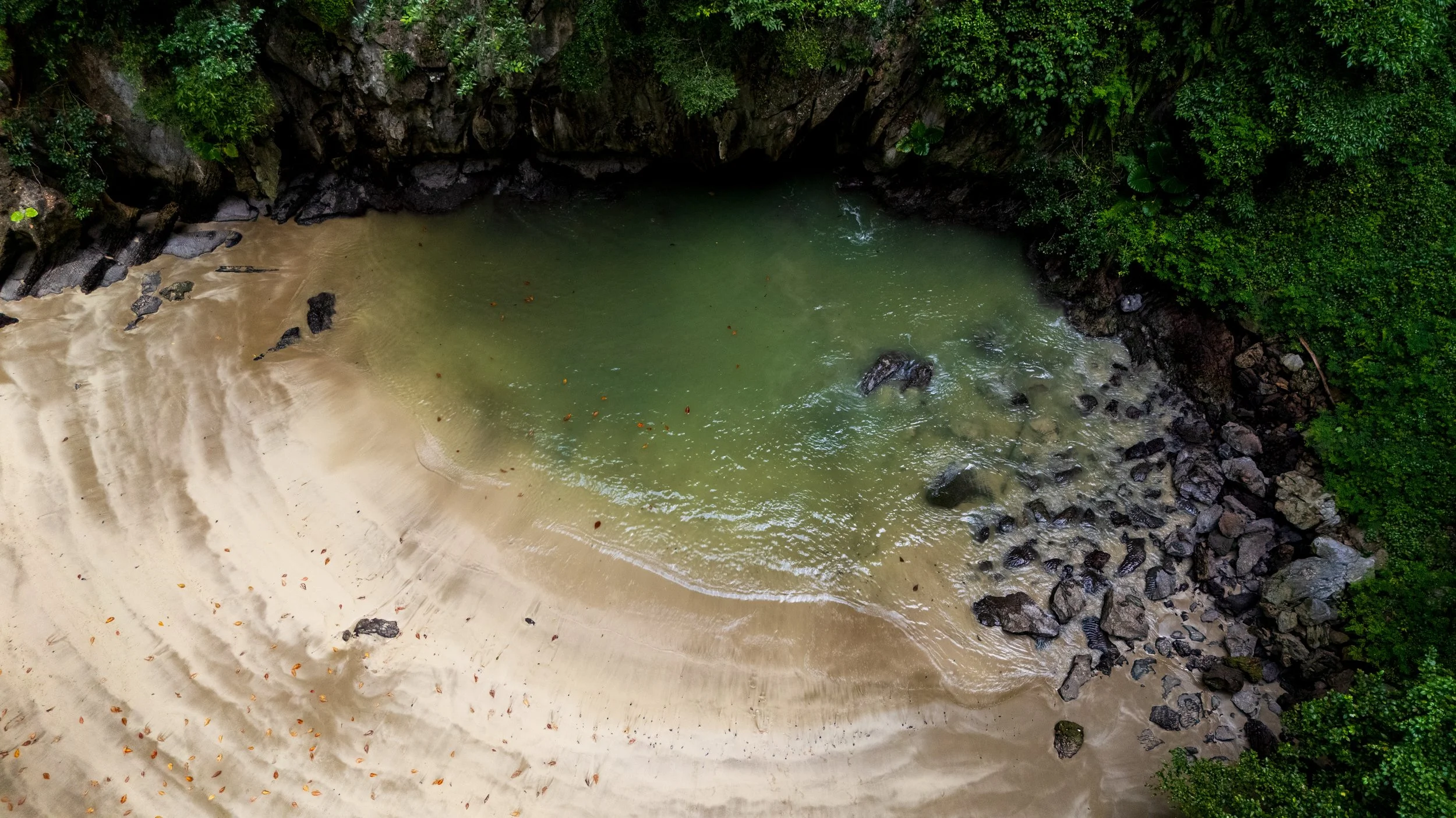 DJI_20250730104506_0028_D.jpg