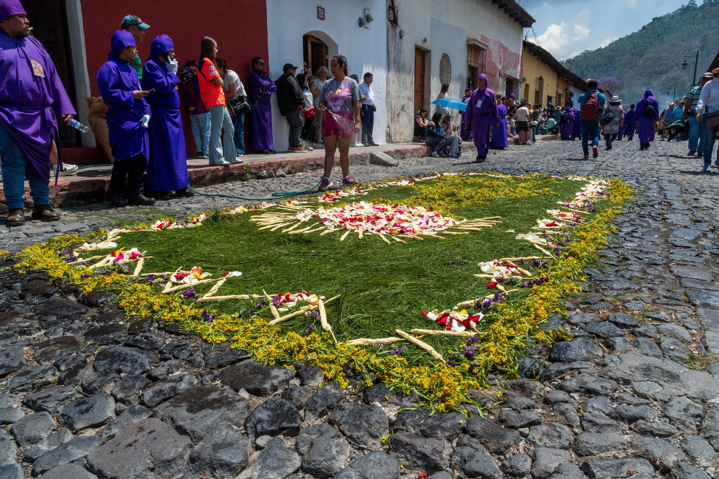 Tapis d'aiguilles de pin jonché de pétales roses et de fleurs jaunes, cucuruchos violets en arrière-plan