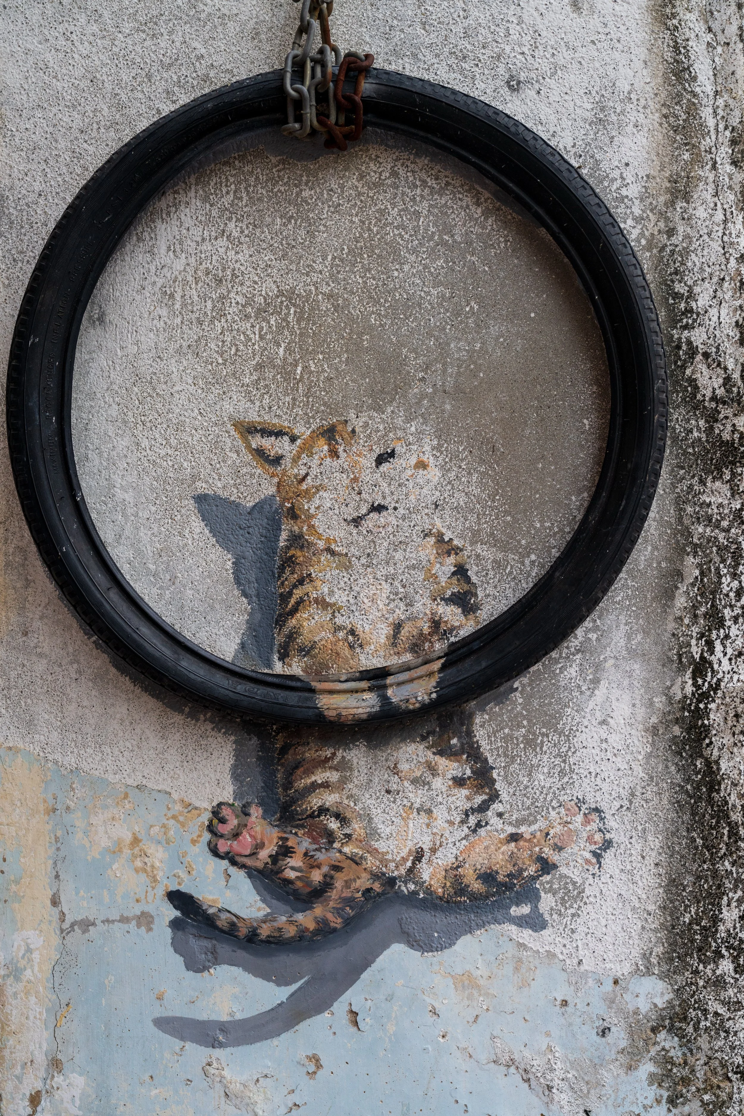 Peinture murale d'un chaton passant la tête à travers une vraie roue de vélo accrochée au mur, street art de Georgetown