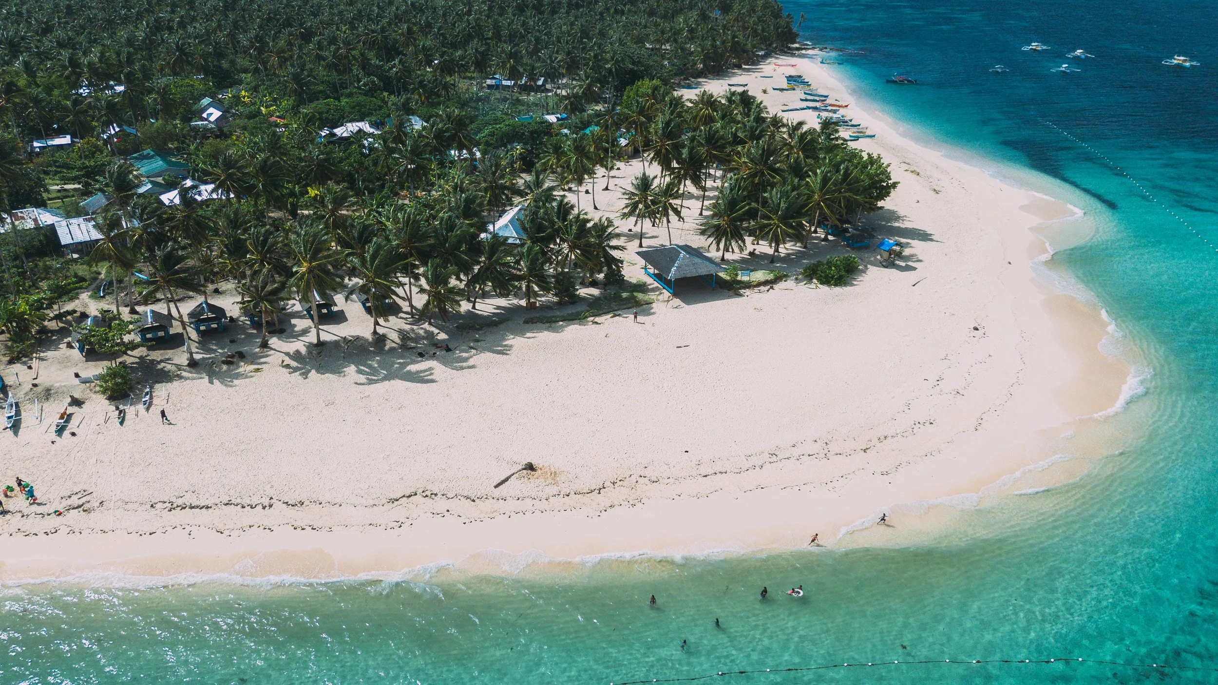 Vue aérienne d'une plage de sable blanc bordée de cocotiers sur l'île de Siargao