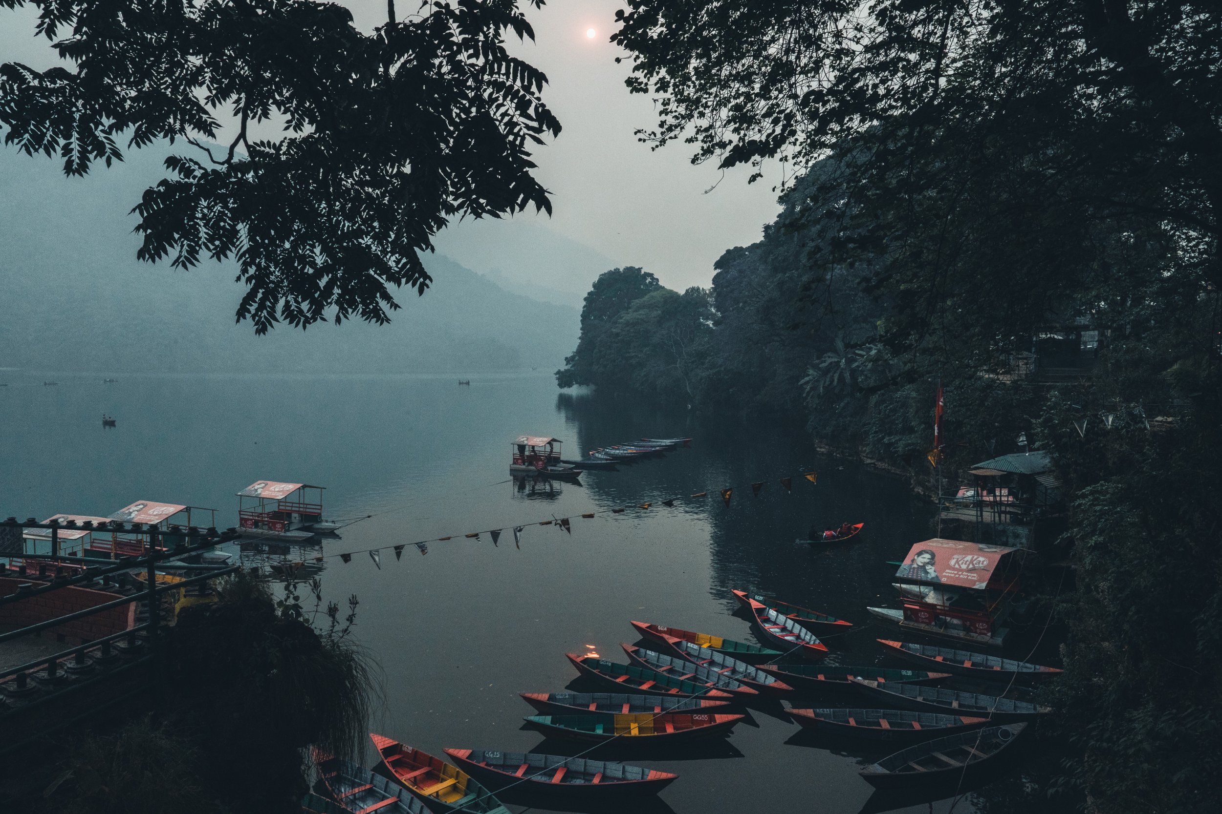 Barques colorées amarrées sur le lac Phewa dans la brume à Pokhara
