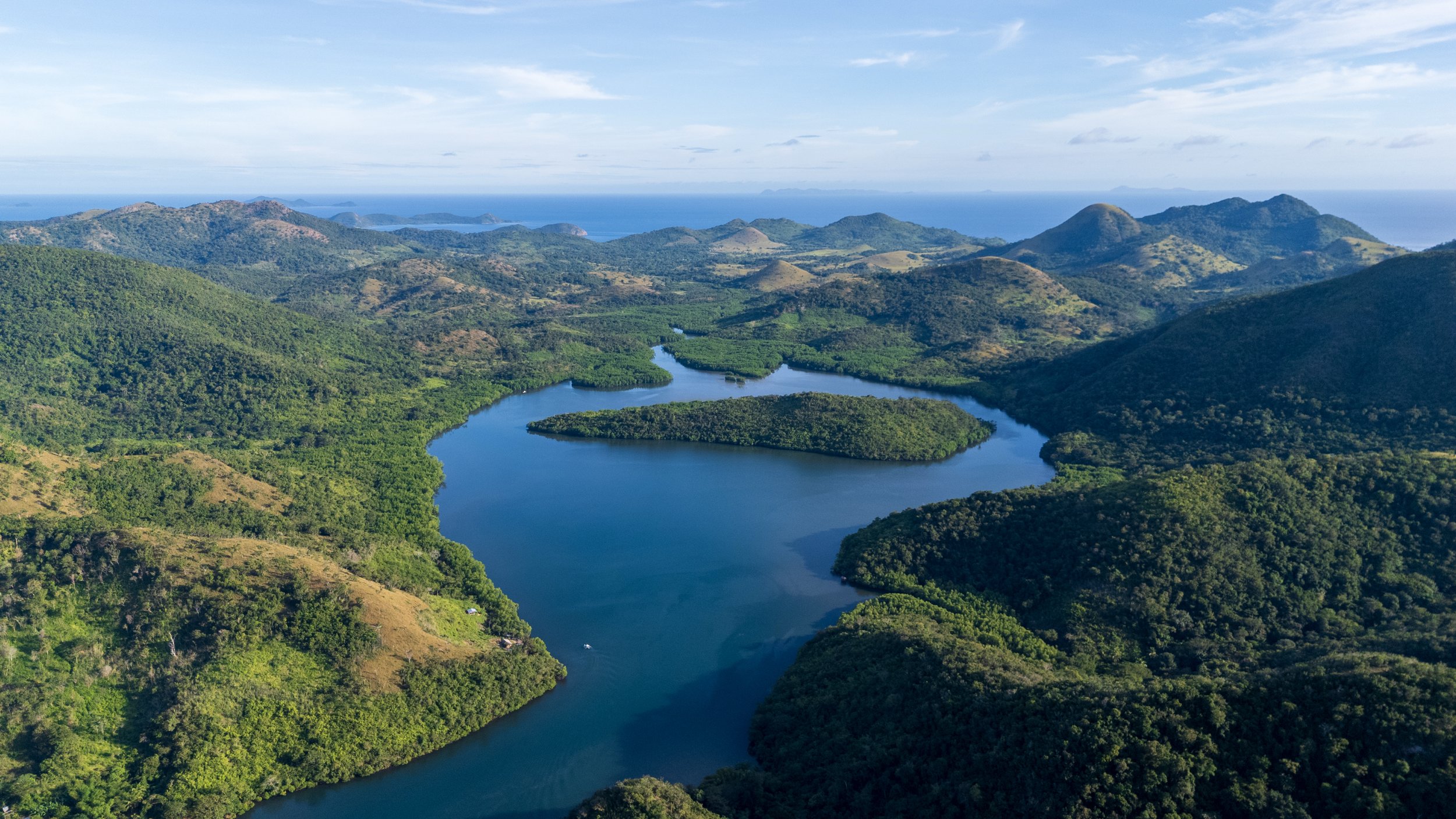 Vue aérienne des mangroves et des baies verdoyantes de Palawan aux Philippines