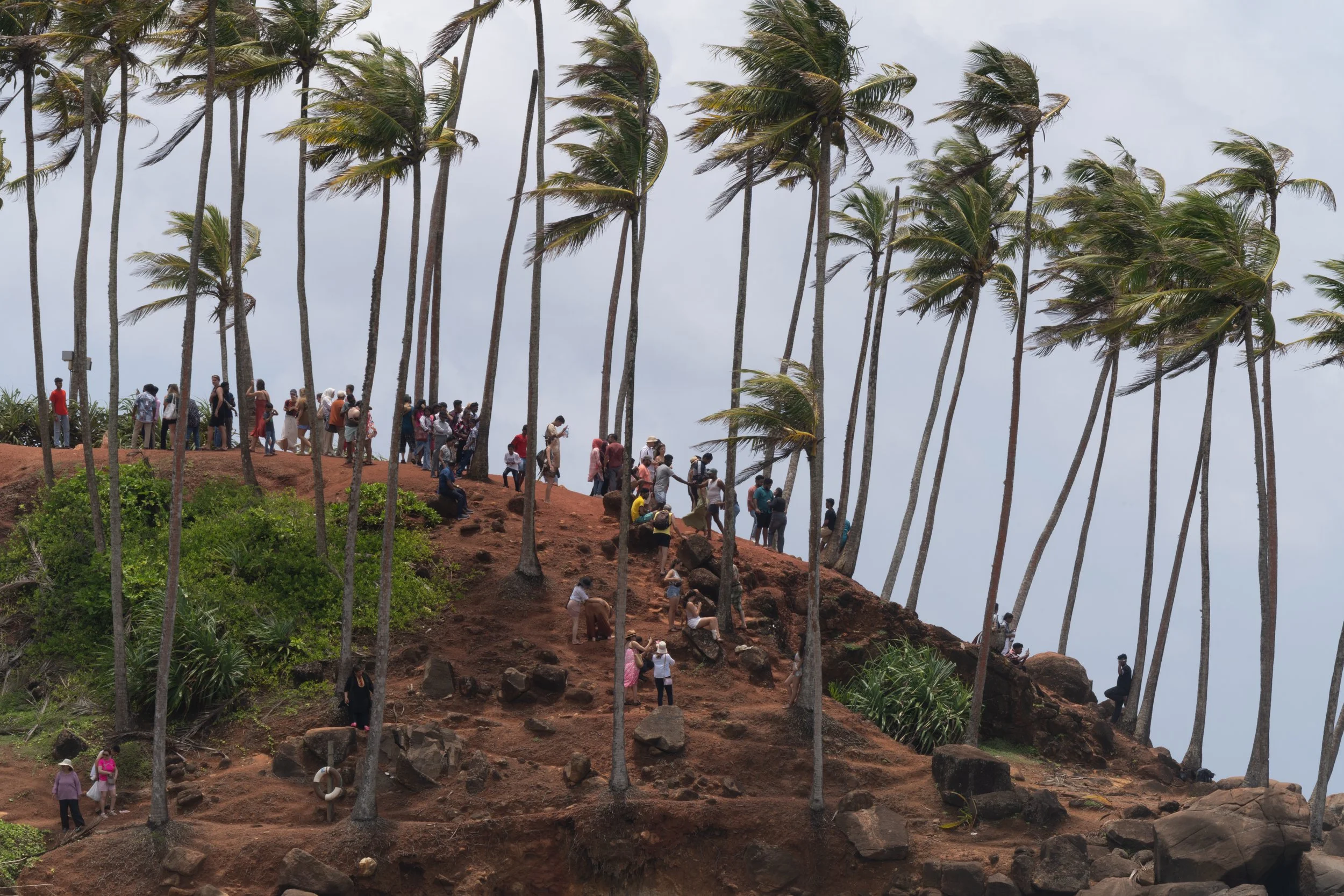 Voyageurs assis sous les cocotiers sur les remparts du fort de Galle