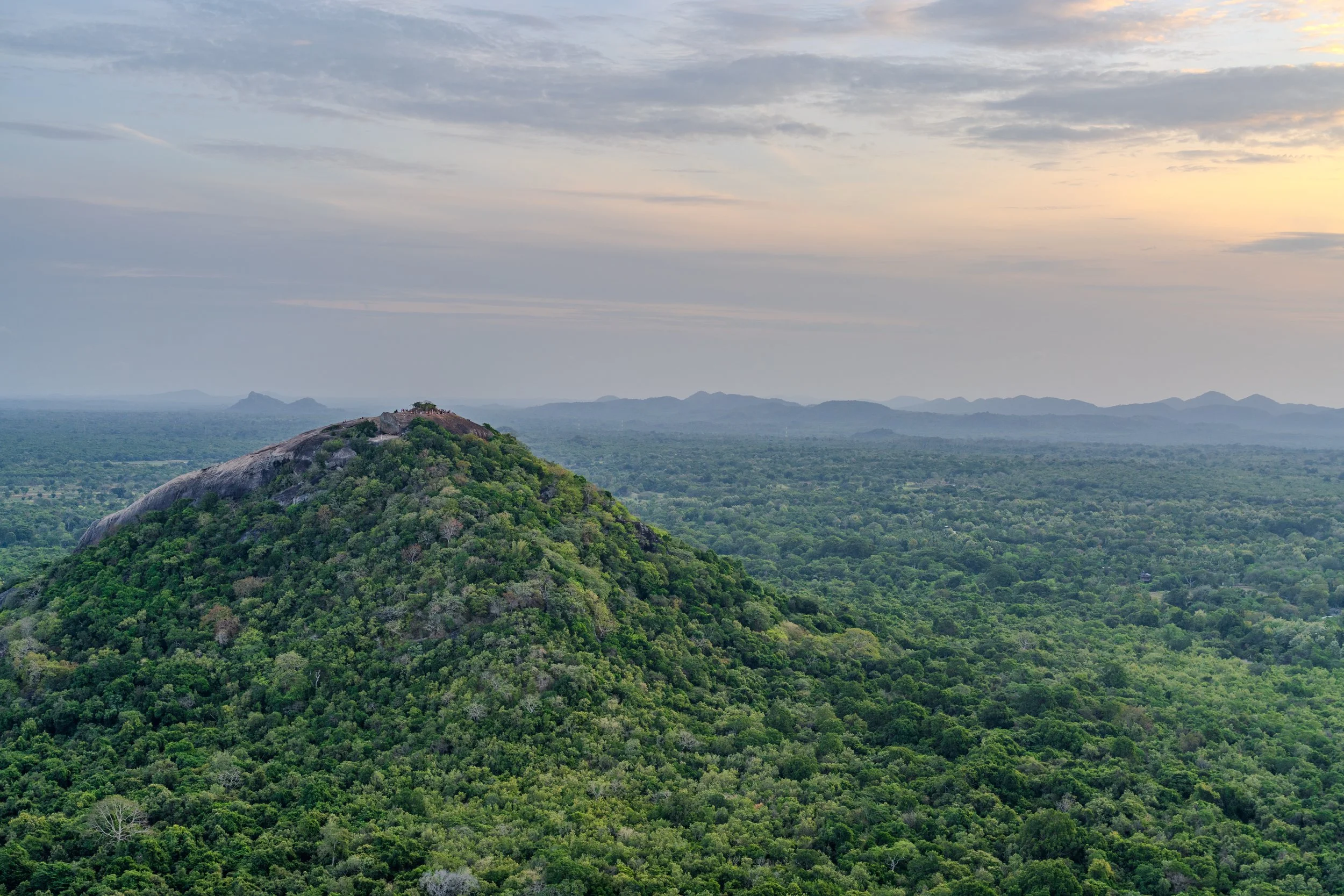 Panorama de la jungle sri-lankaise au crépuscule depuis les hauteurs de Sigiriya