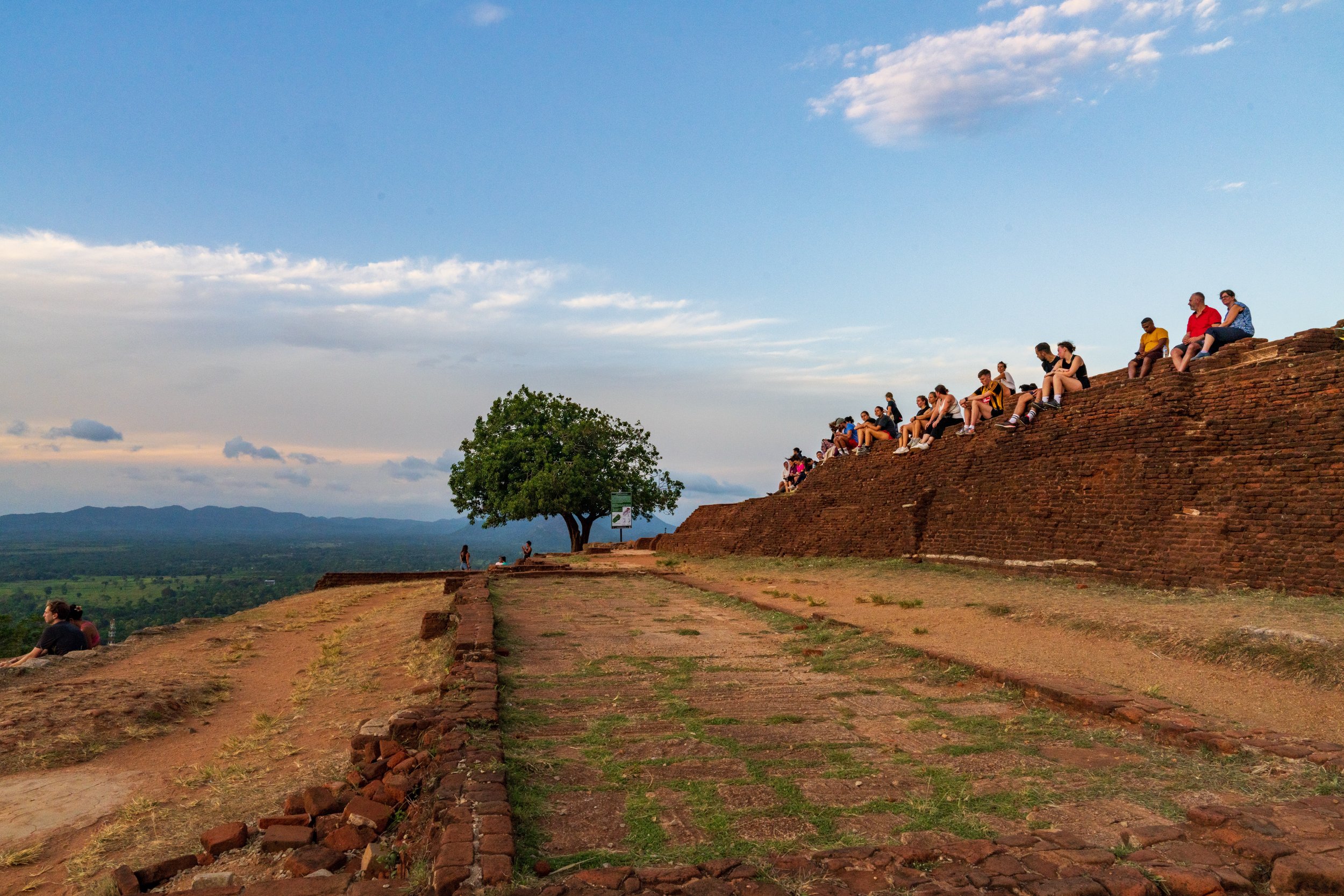 Voyageurs assis au sommet du rocher de Sigiriya près d'un arbre solitaire