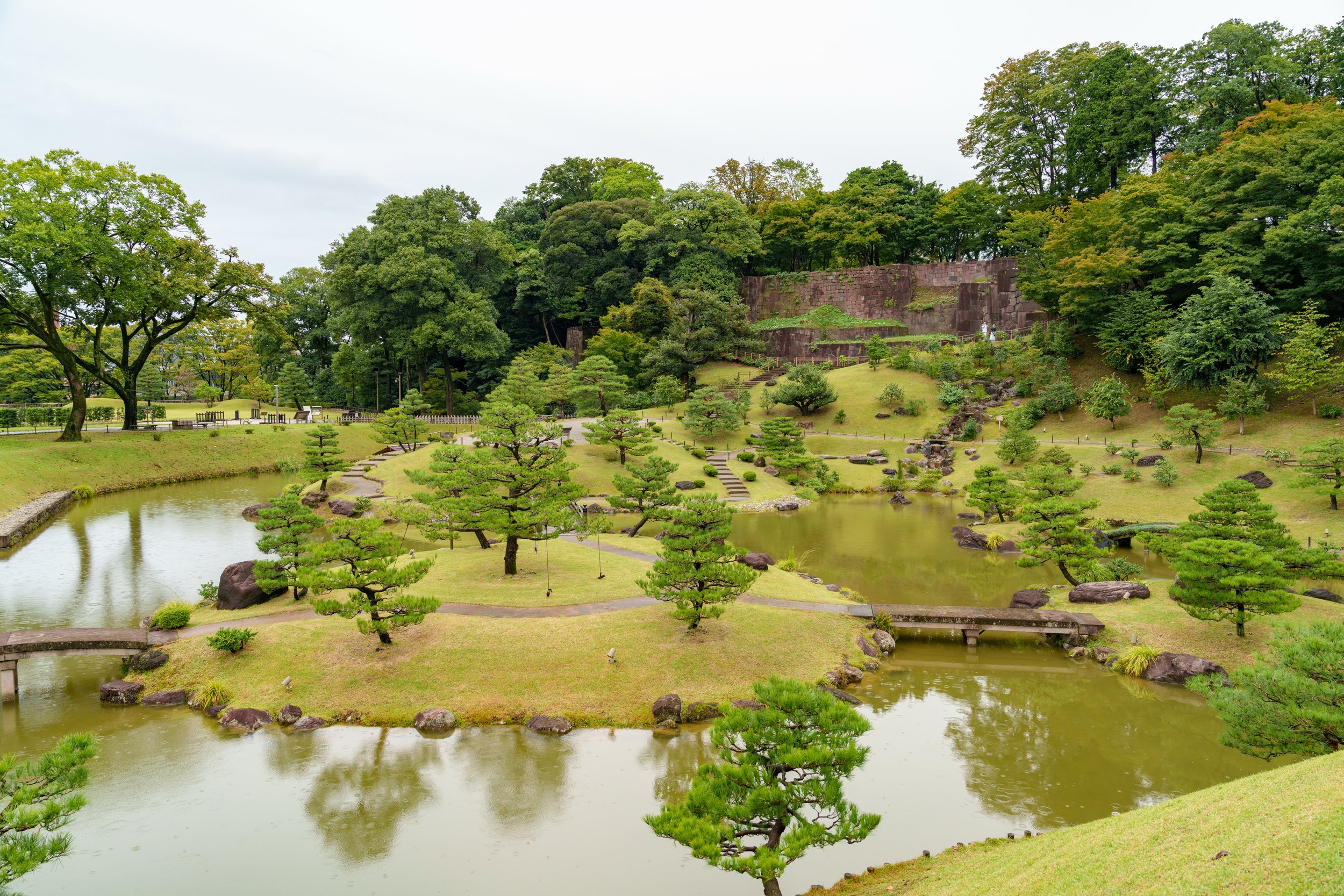 Étang et pins taillés du jardin Kenrokuen à Kanazawa au Japon