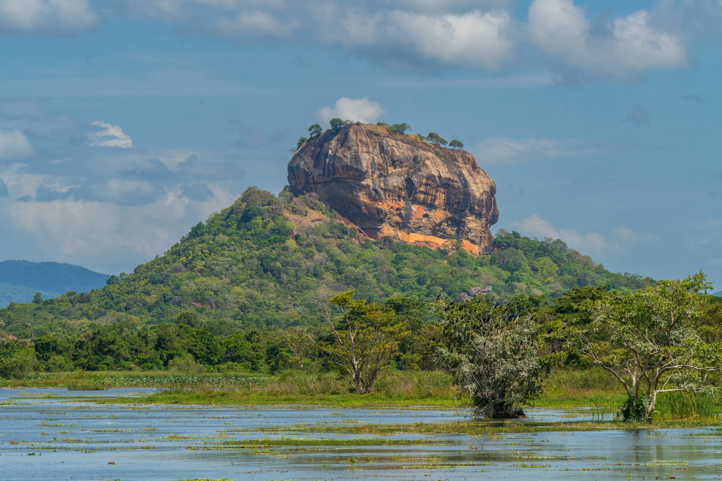 Rocher du Lion de Sigiriya se reflétant au-dessus d'un lac bordé de végétation